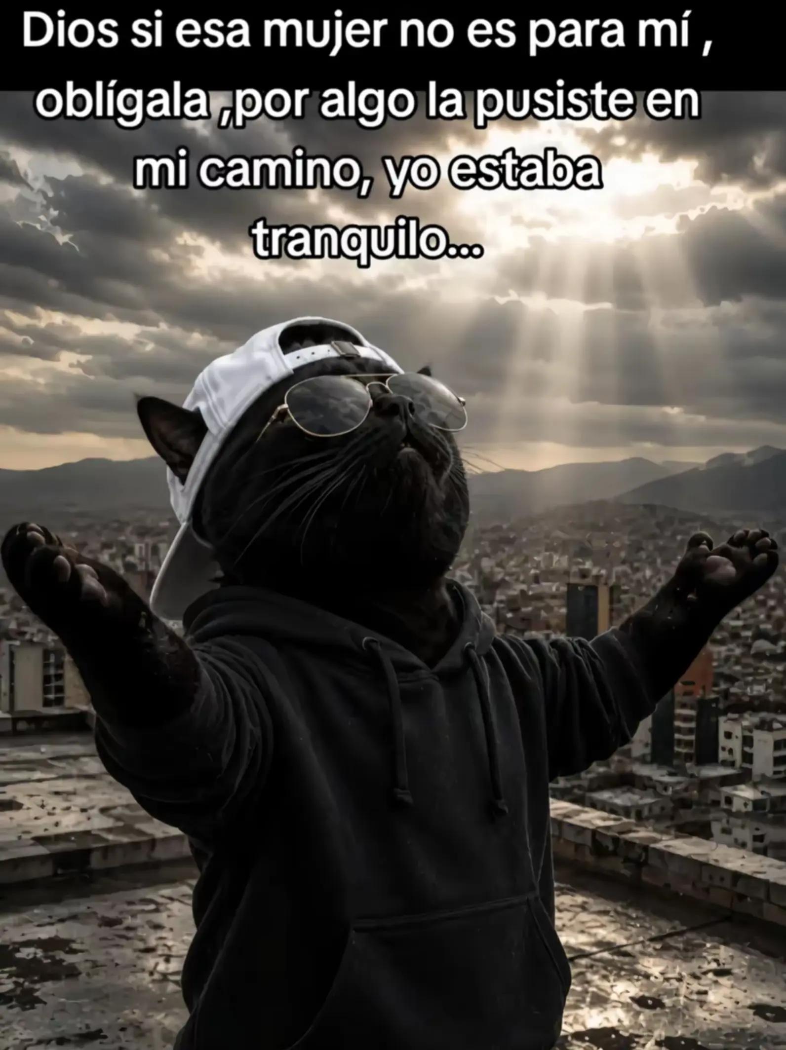 @@joseignaciochilan