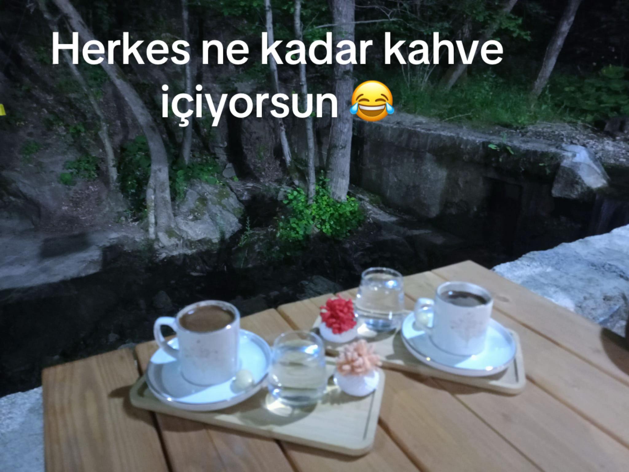 @ece halil g&ouml;ky&uuml;z&uuml;