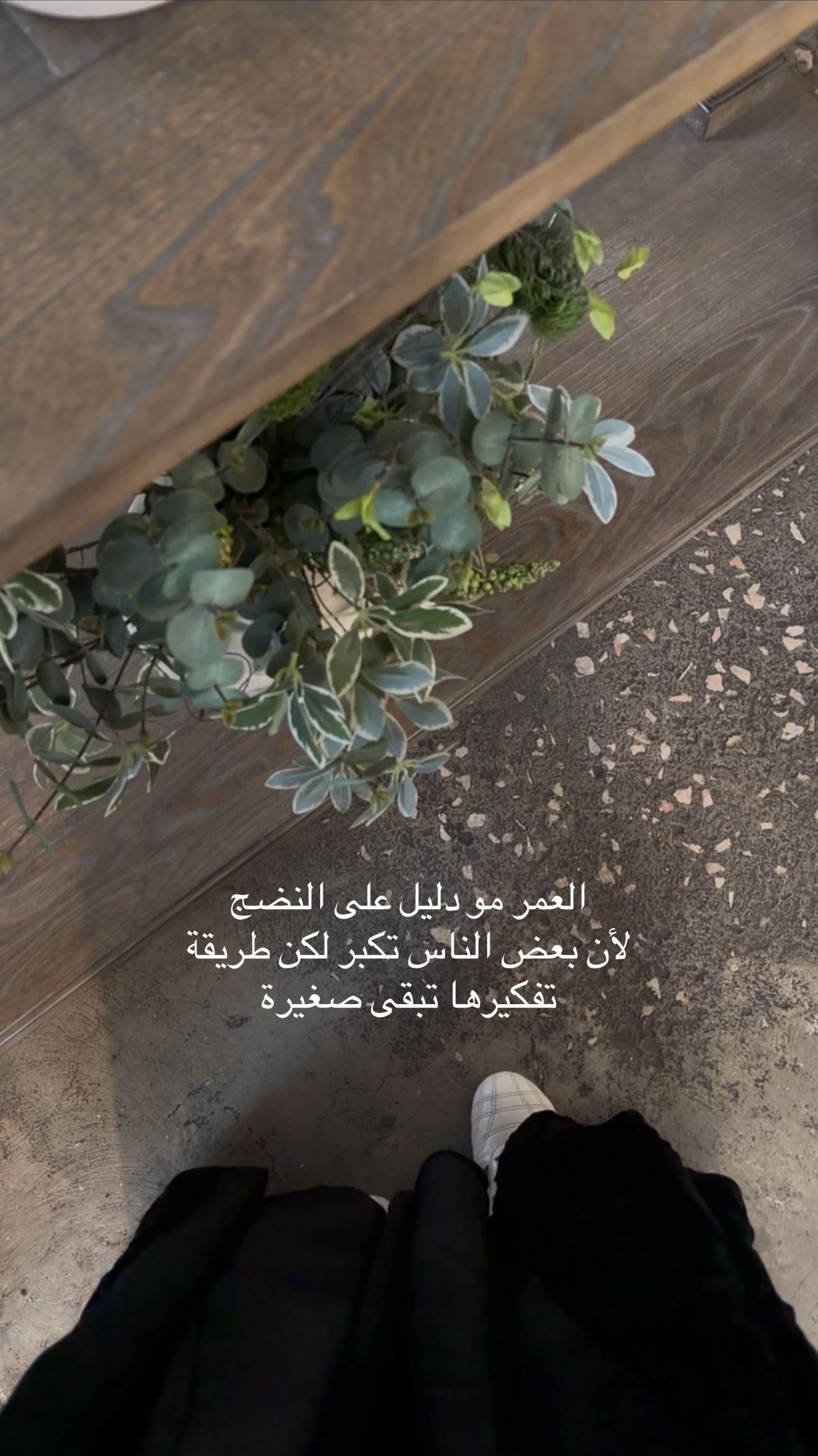 @F| 1 9 9 4 🎀