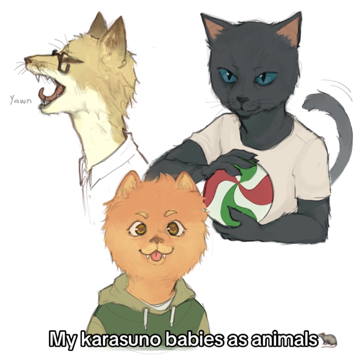 @Kiwi