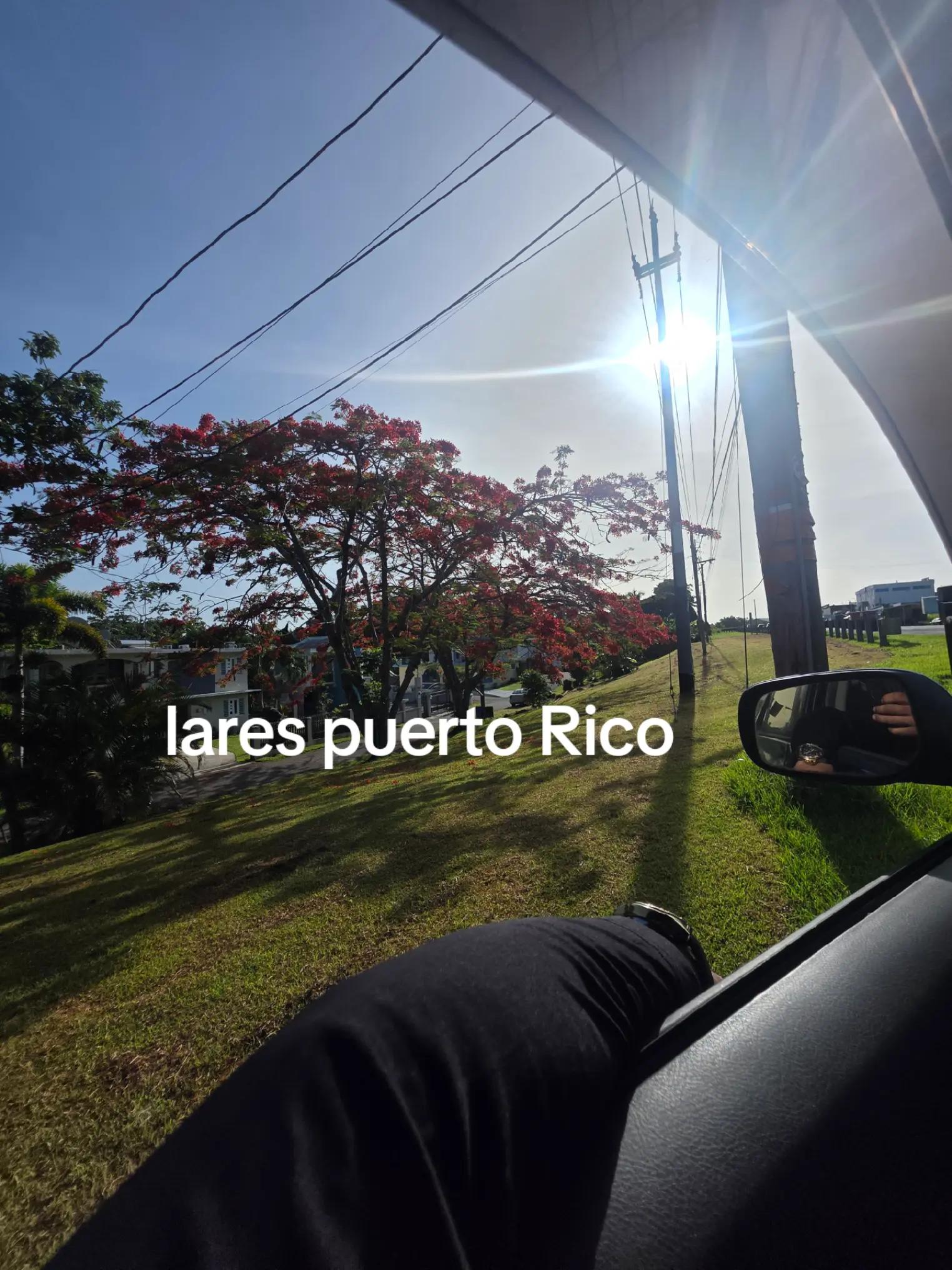@Luis ✌️🇵🇷🇵🇷🇵🇷