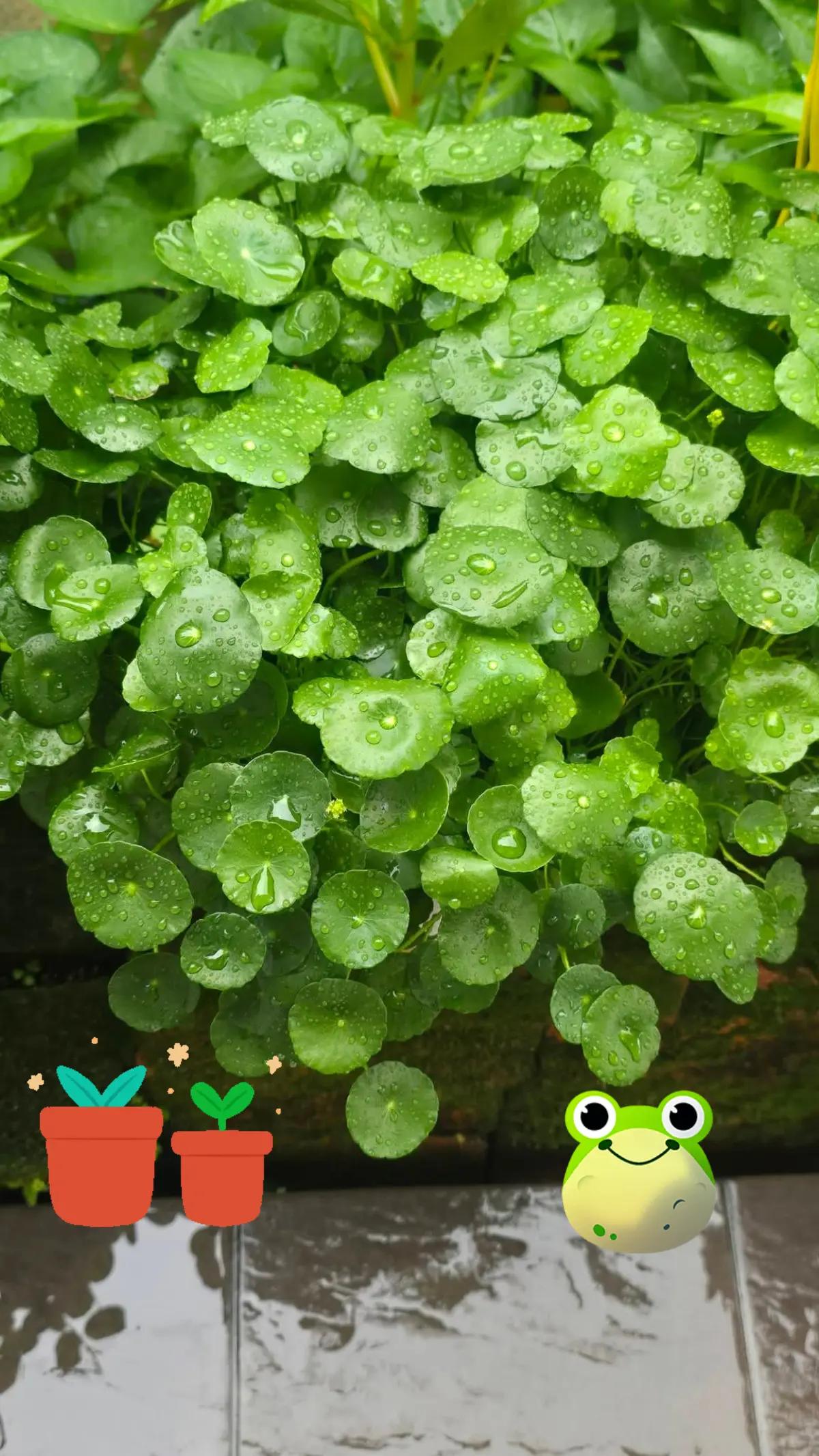 @Wendy63shop