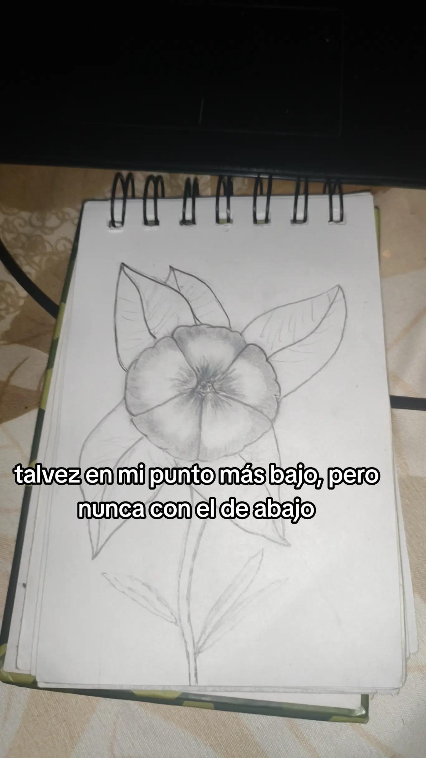 @Elian_col