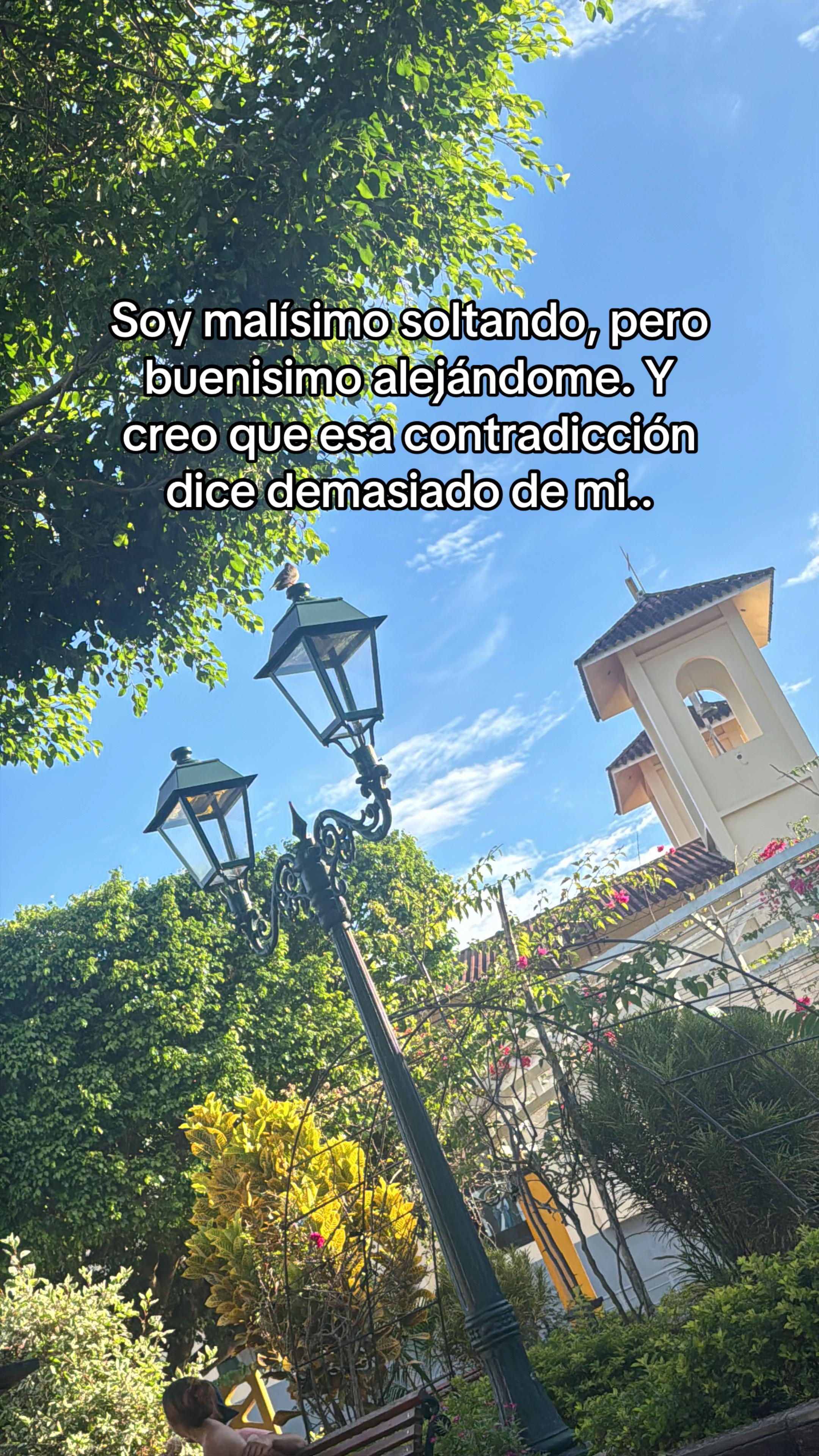@Orlando Saavedra San