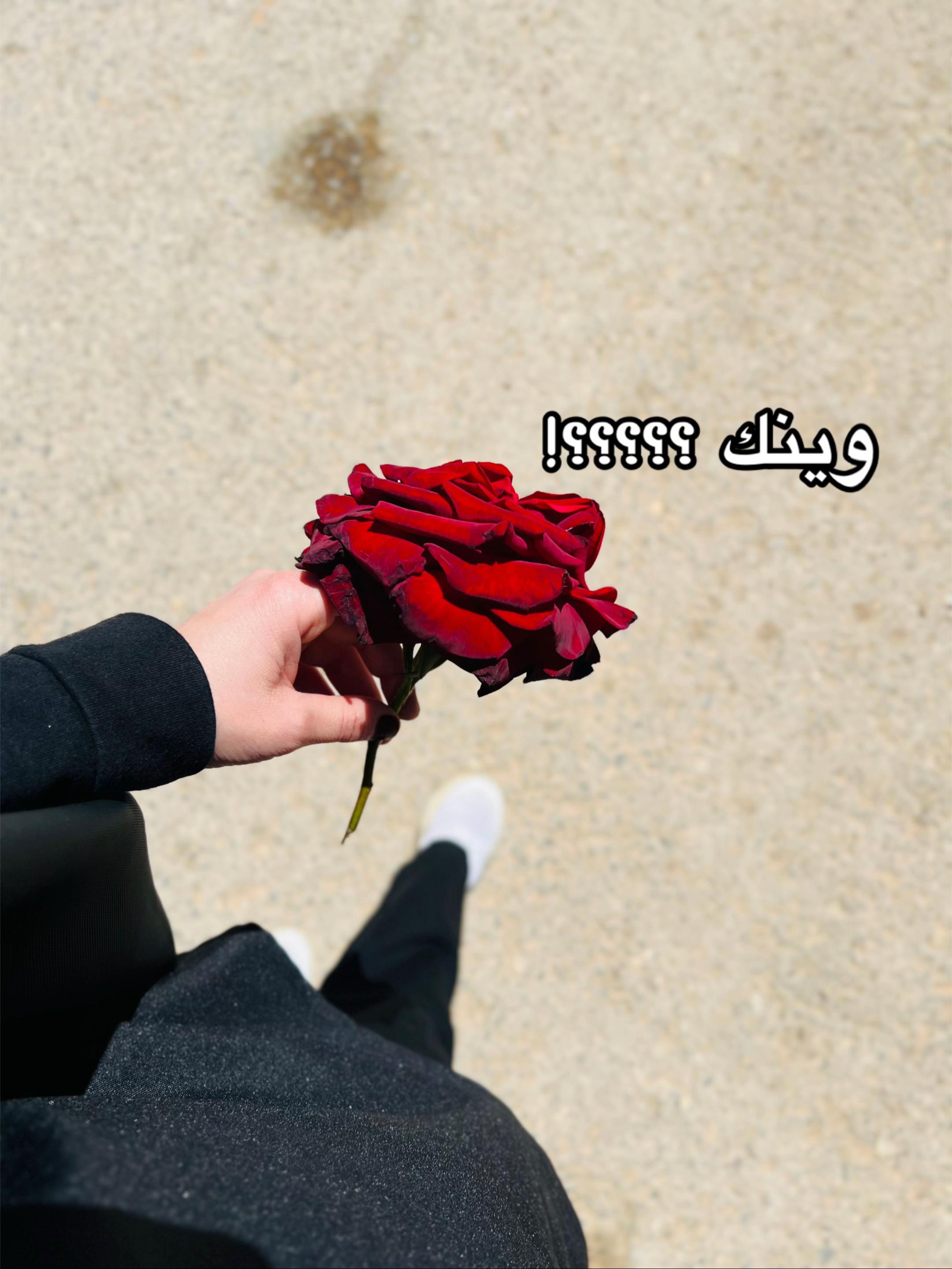 @منوشـة 👩🏻🔬💉
