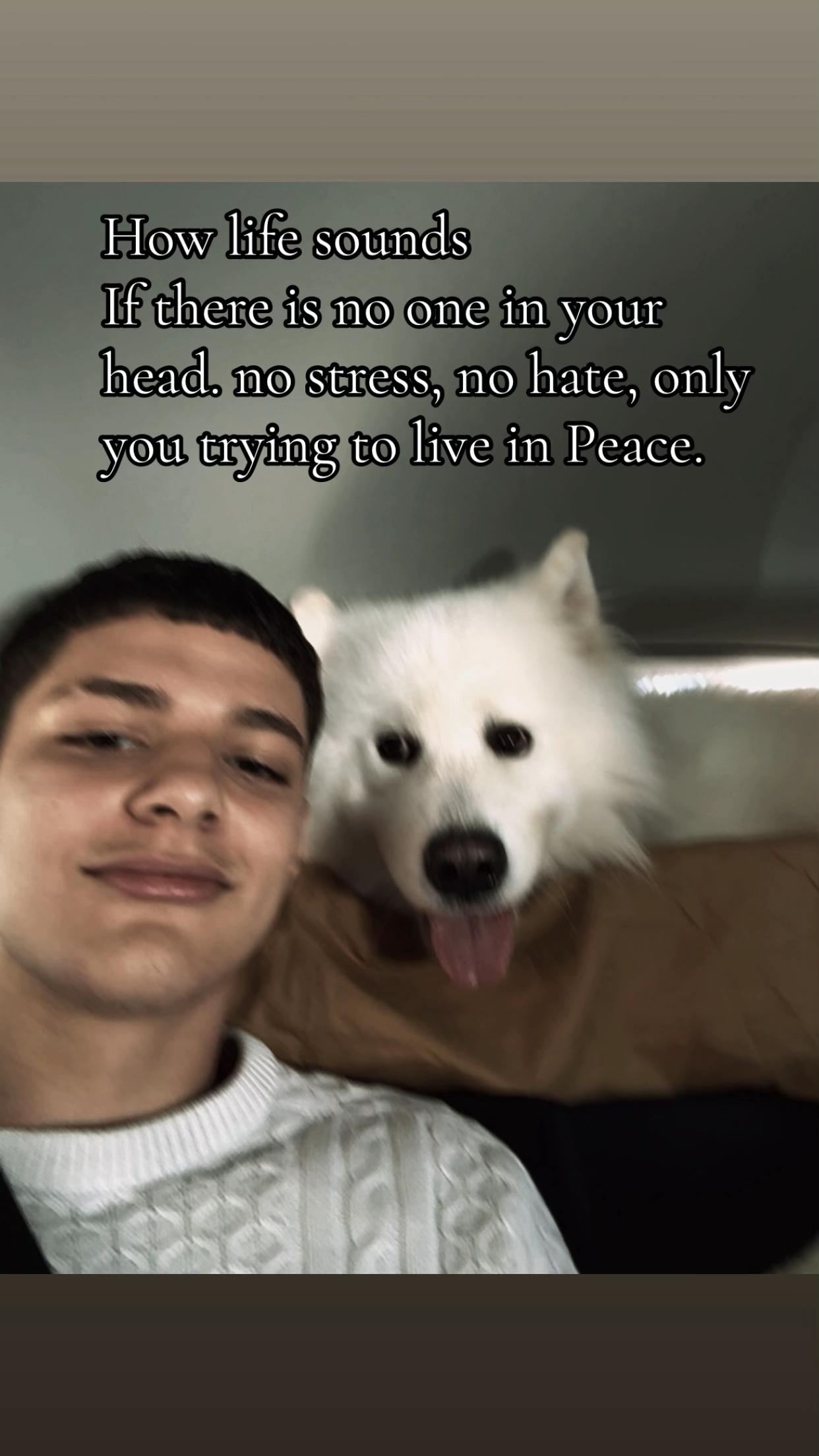 @⛄️A🕷️