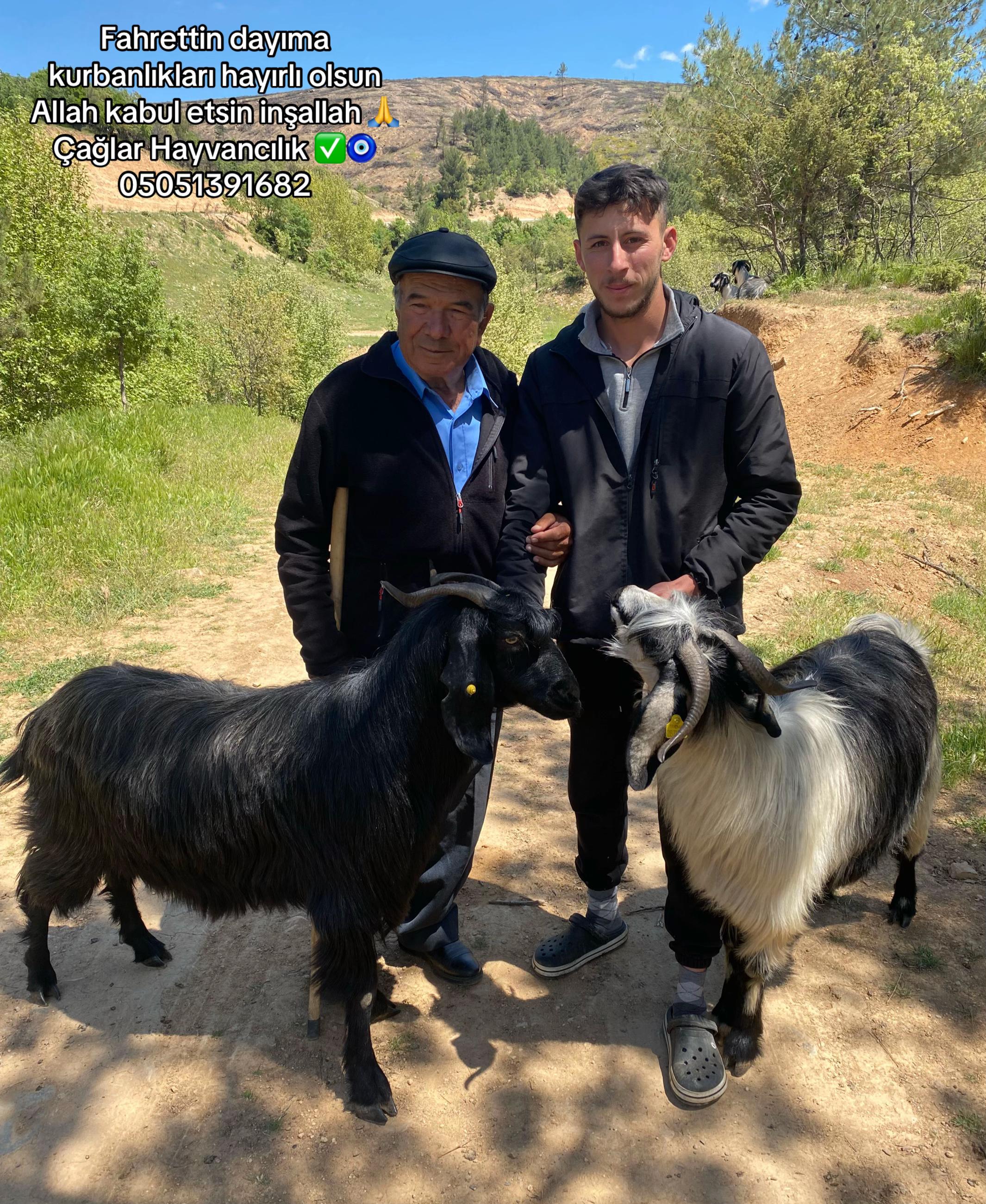 @Metin Melisa &ccedil;ağlar