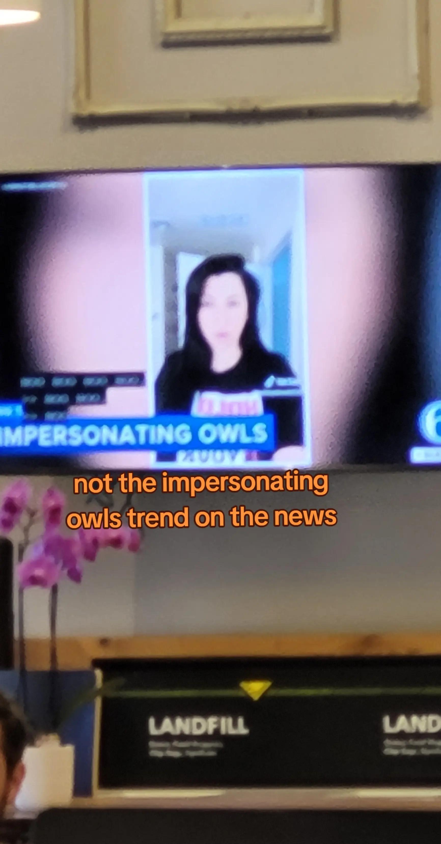 @z! 🦉📚