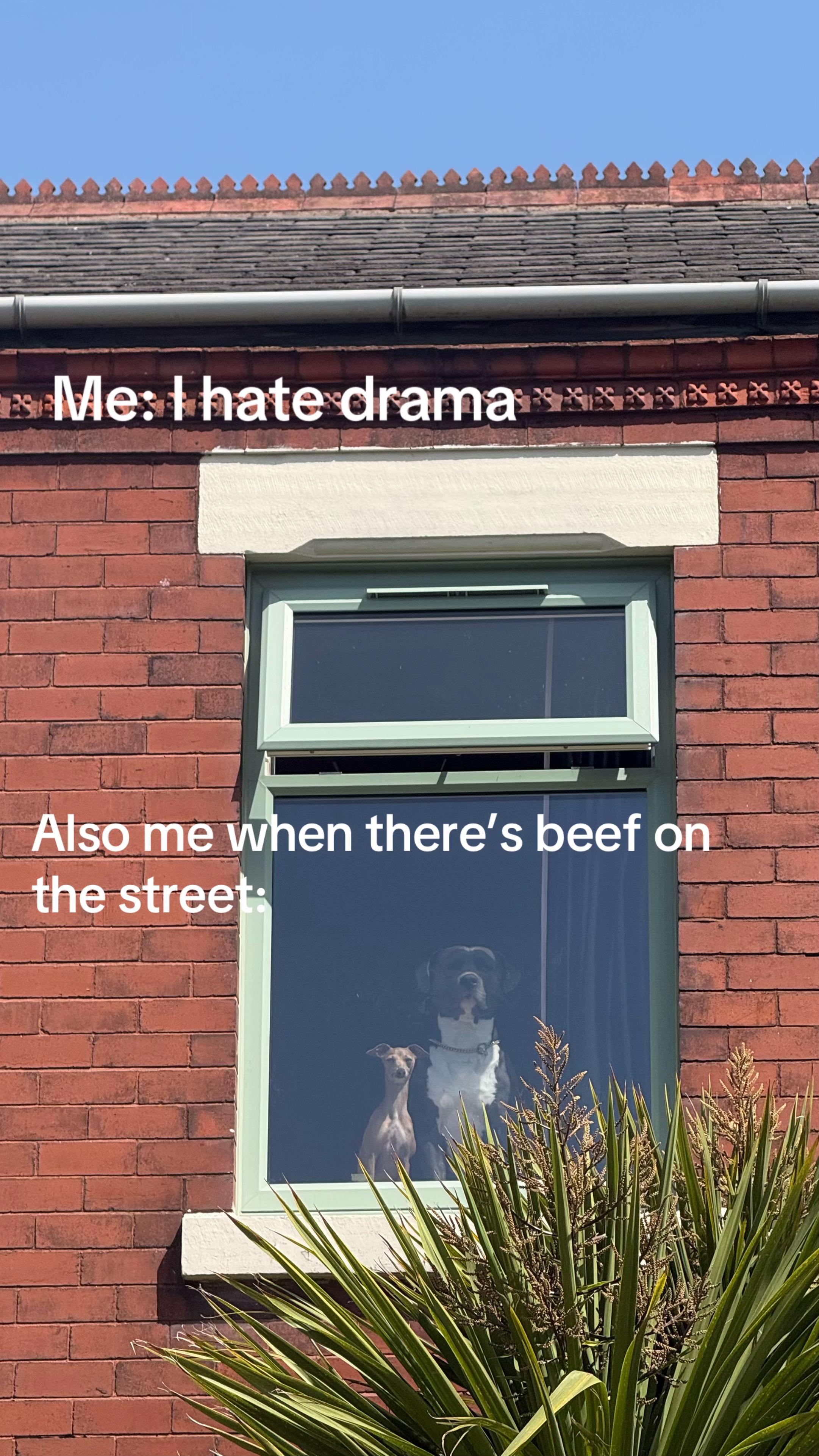 @Meg ๐๐