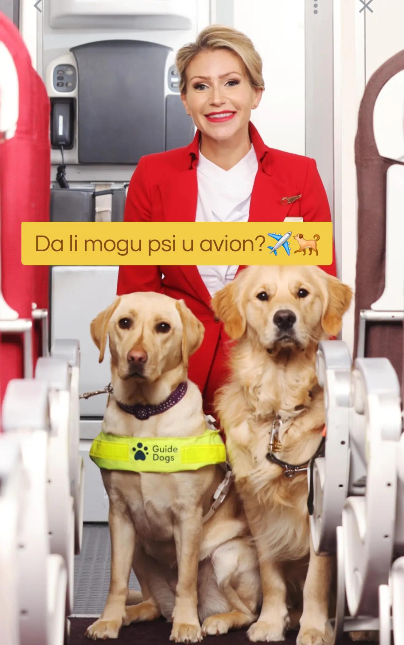 @𝓒𝓪𝓫𝓲𝓷 𝓒𝓻𝓮𝔀 𝓛𝓲𝓯𝓮✈️
