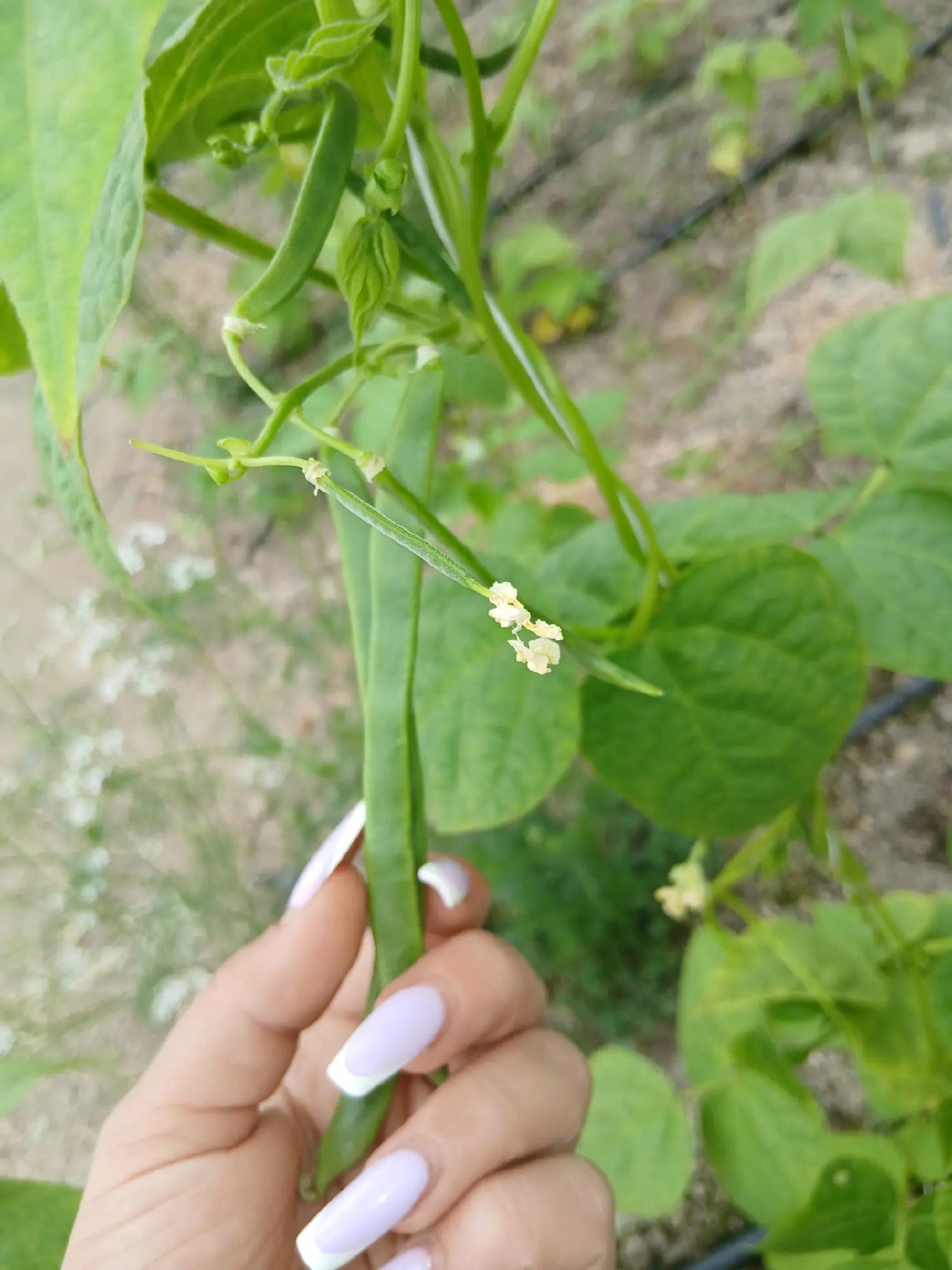 @Մ~~~~♧🤎