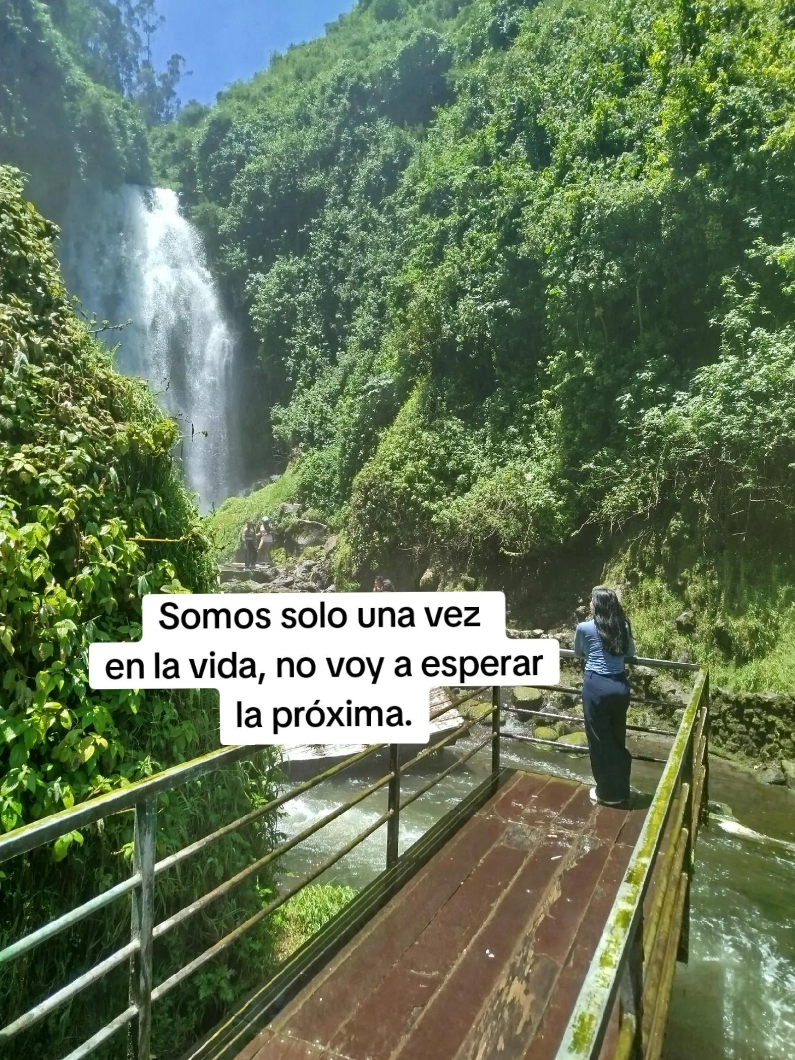 @Gise