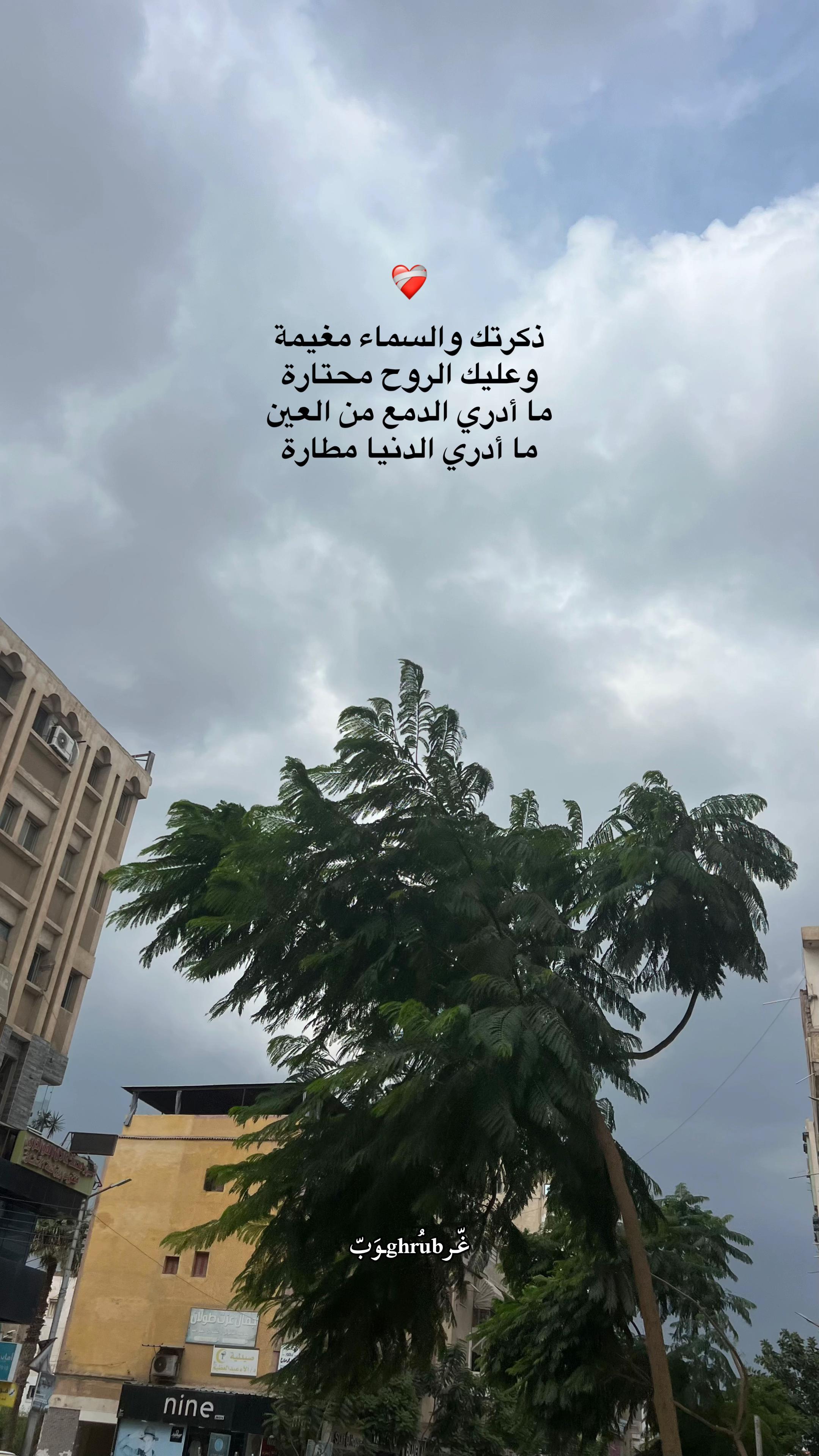 @﮼غُــرُوب. ✪