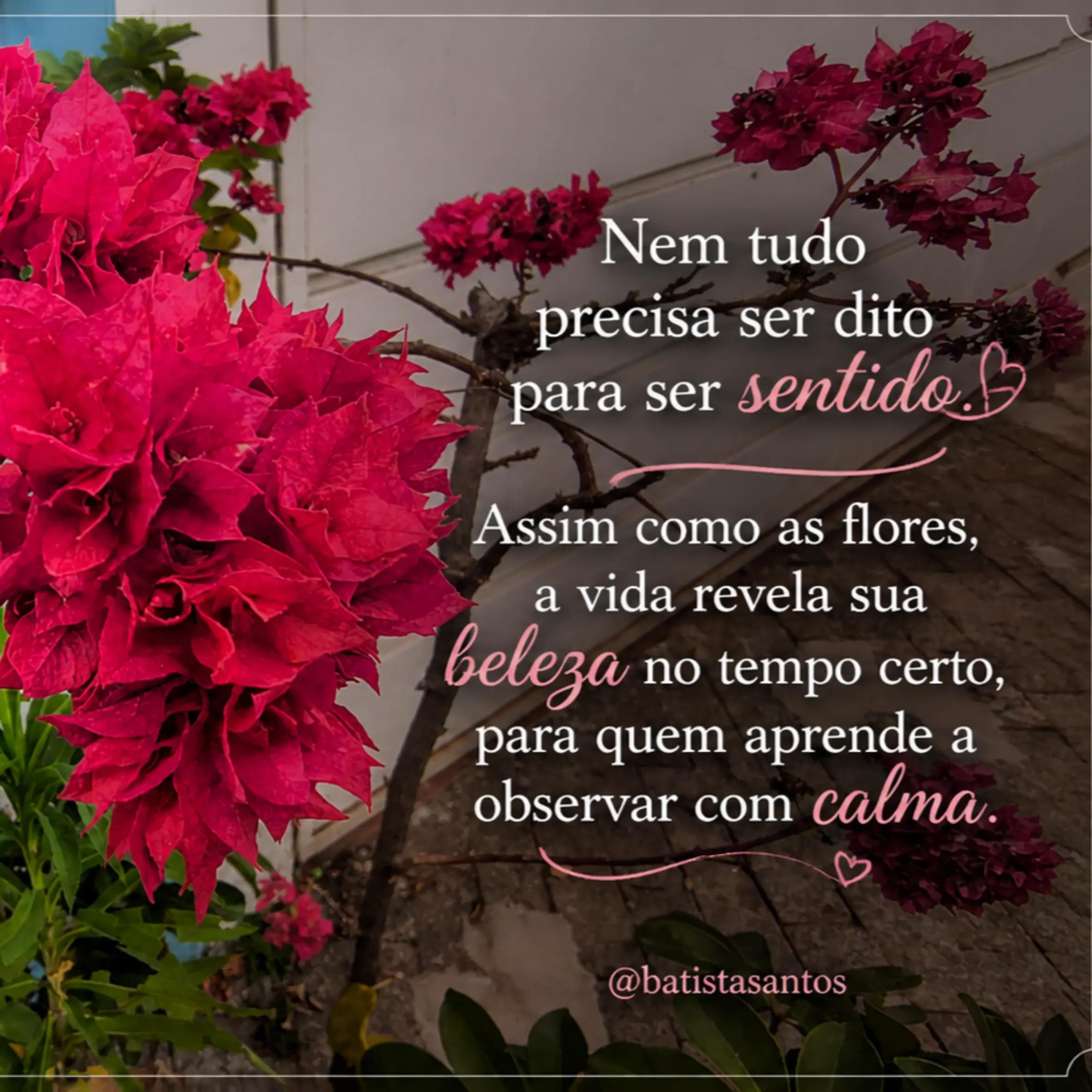 @Batista santos💪👀🙏