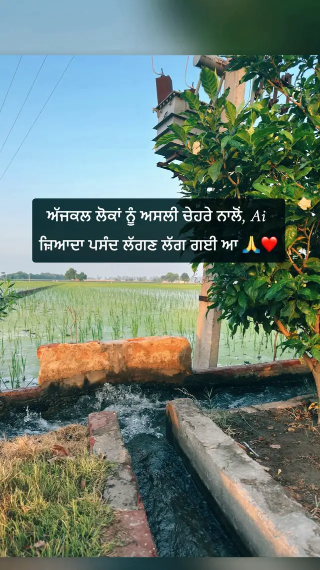 @SUKH