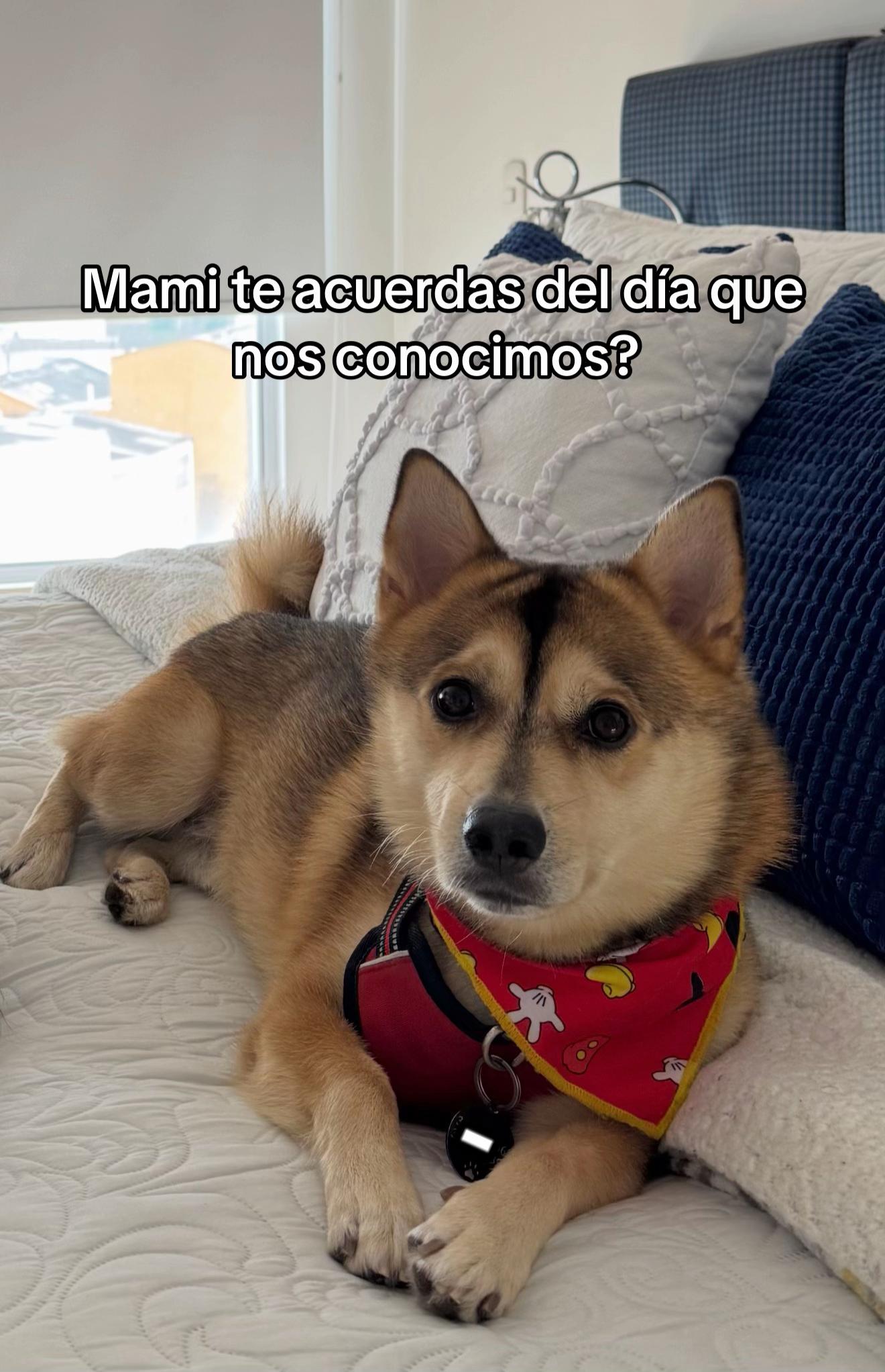 @Manuela Narvaez'