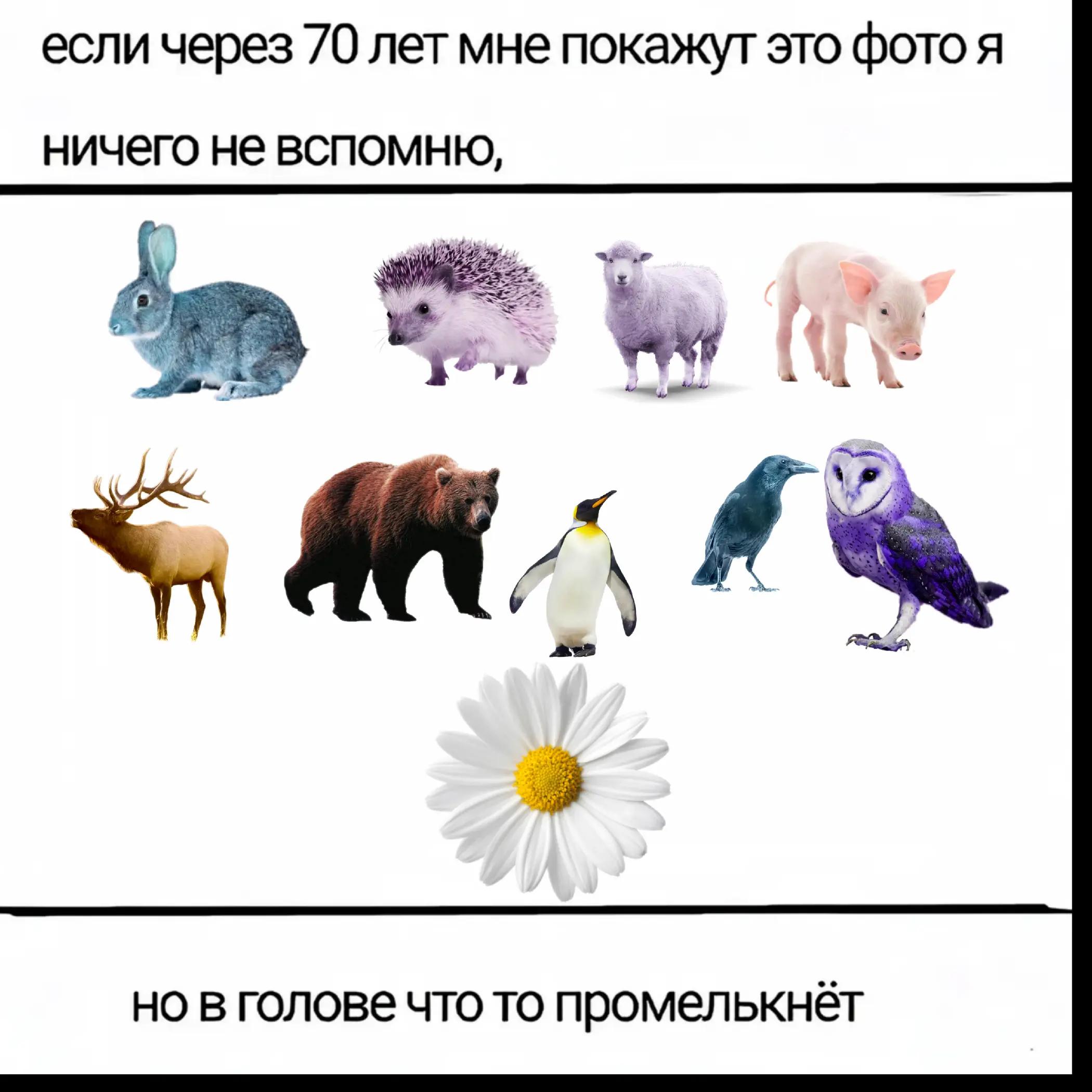 @яррел