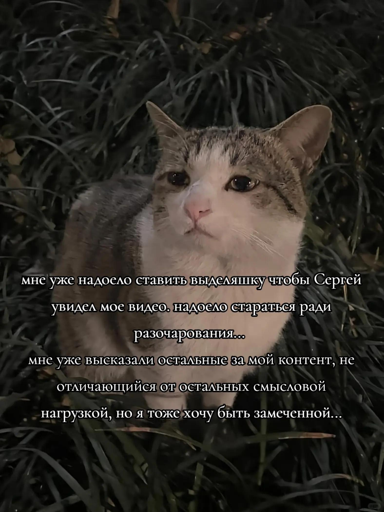 @леруля