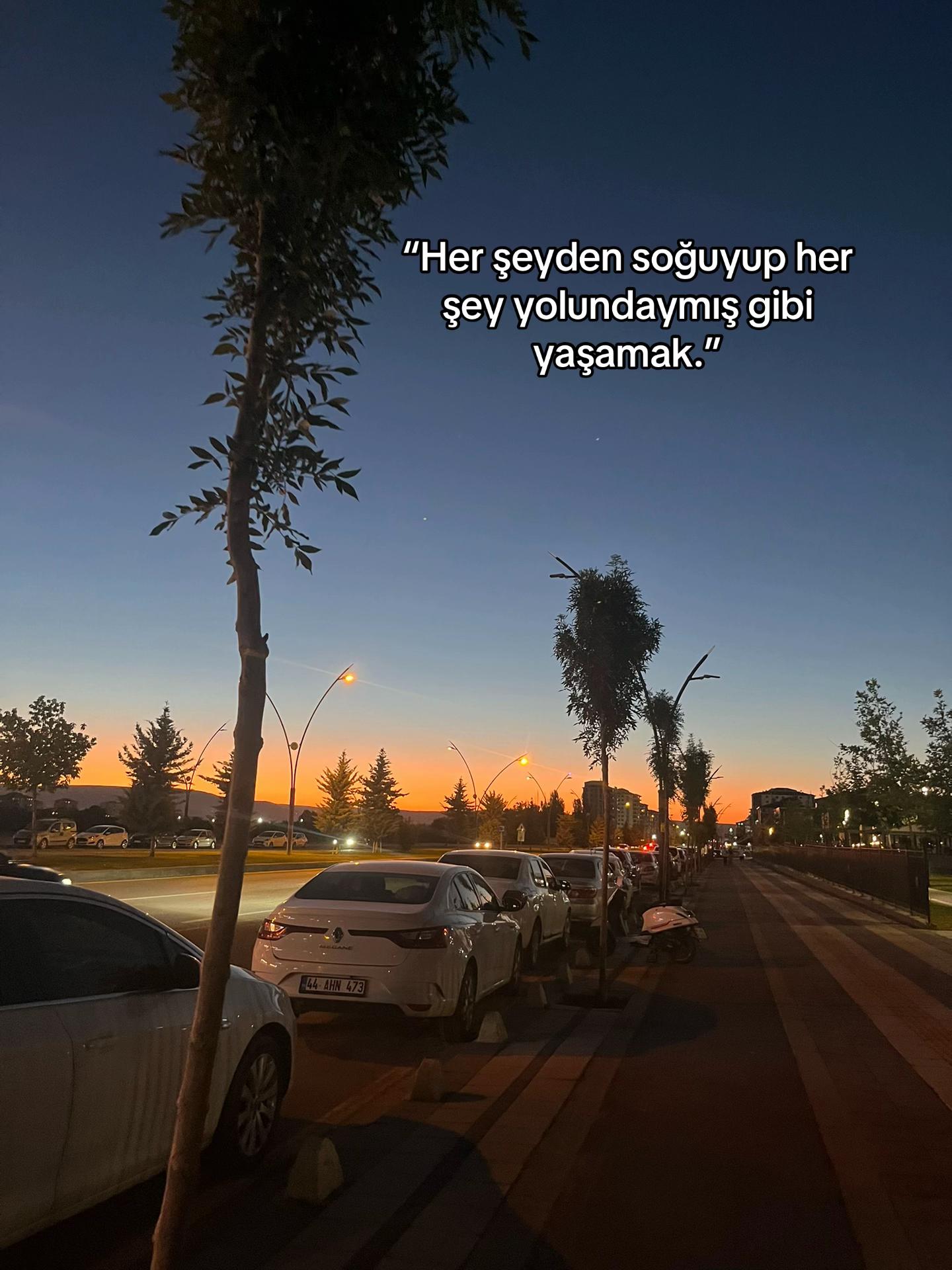 @meeliikenurk