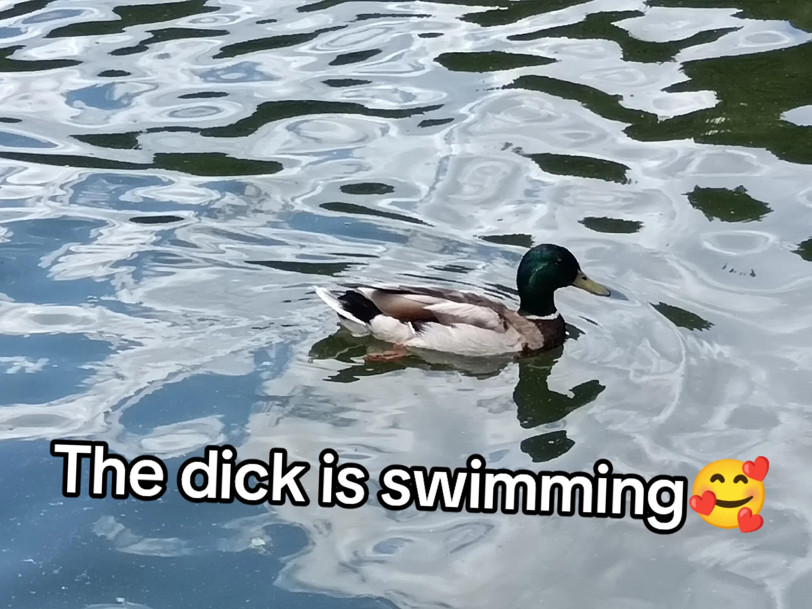 @Unknown