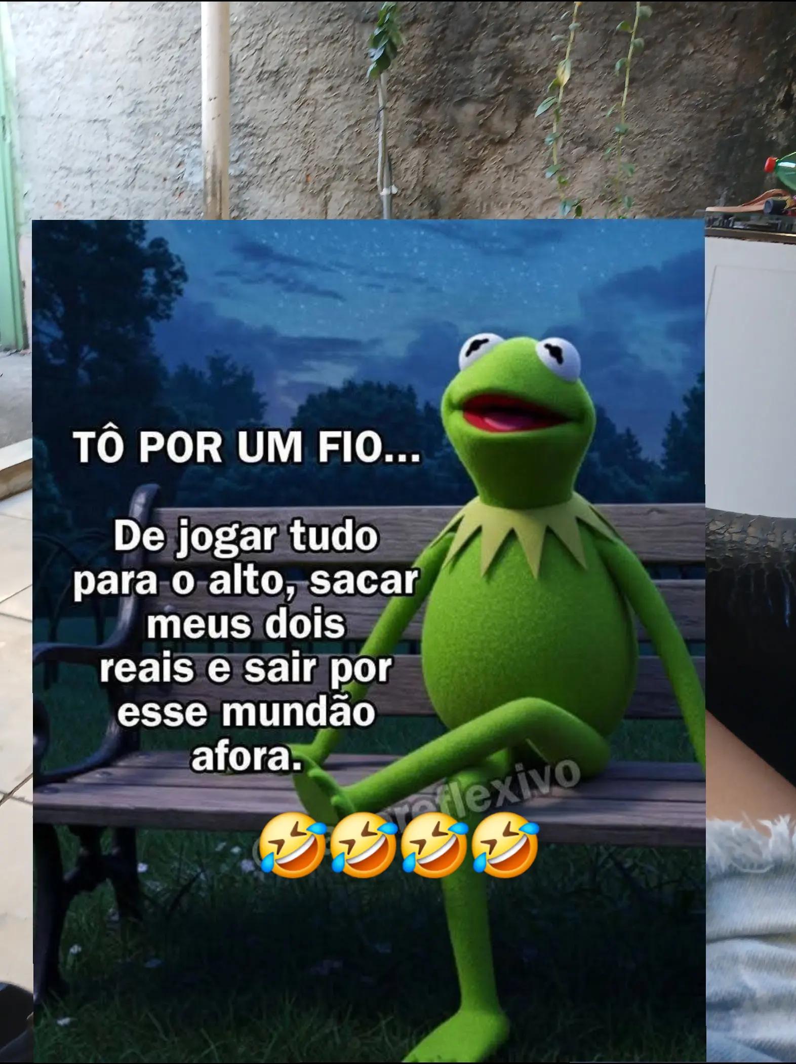@humor da Célia 🤣