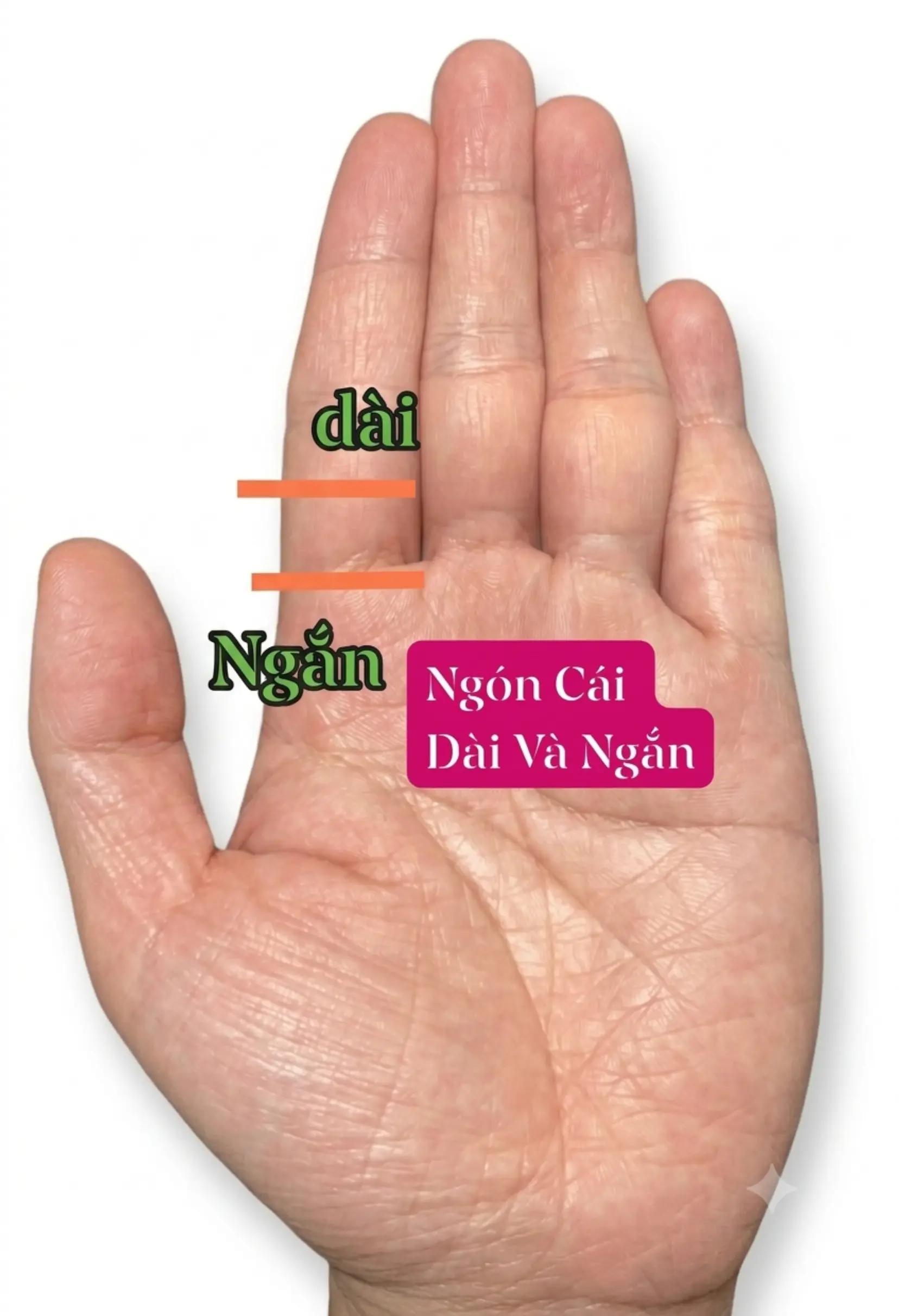 @Nhân Tướng Sửa Mình (Đỗ Lâm)