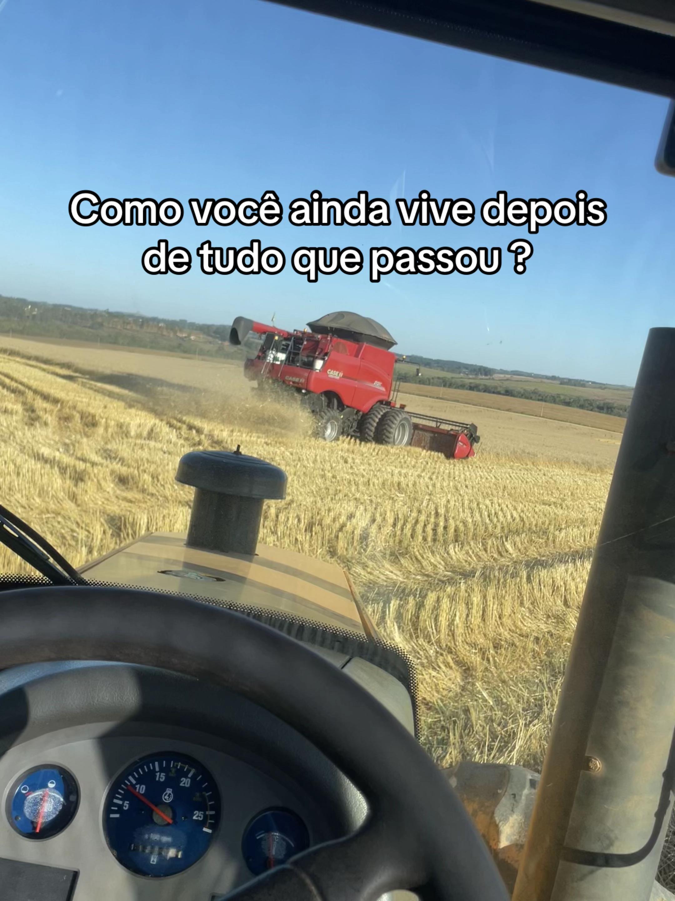 @joao francisco