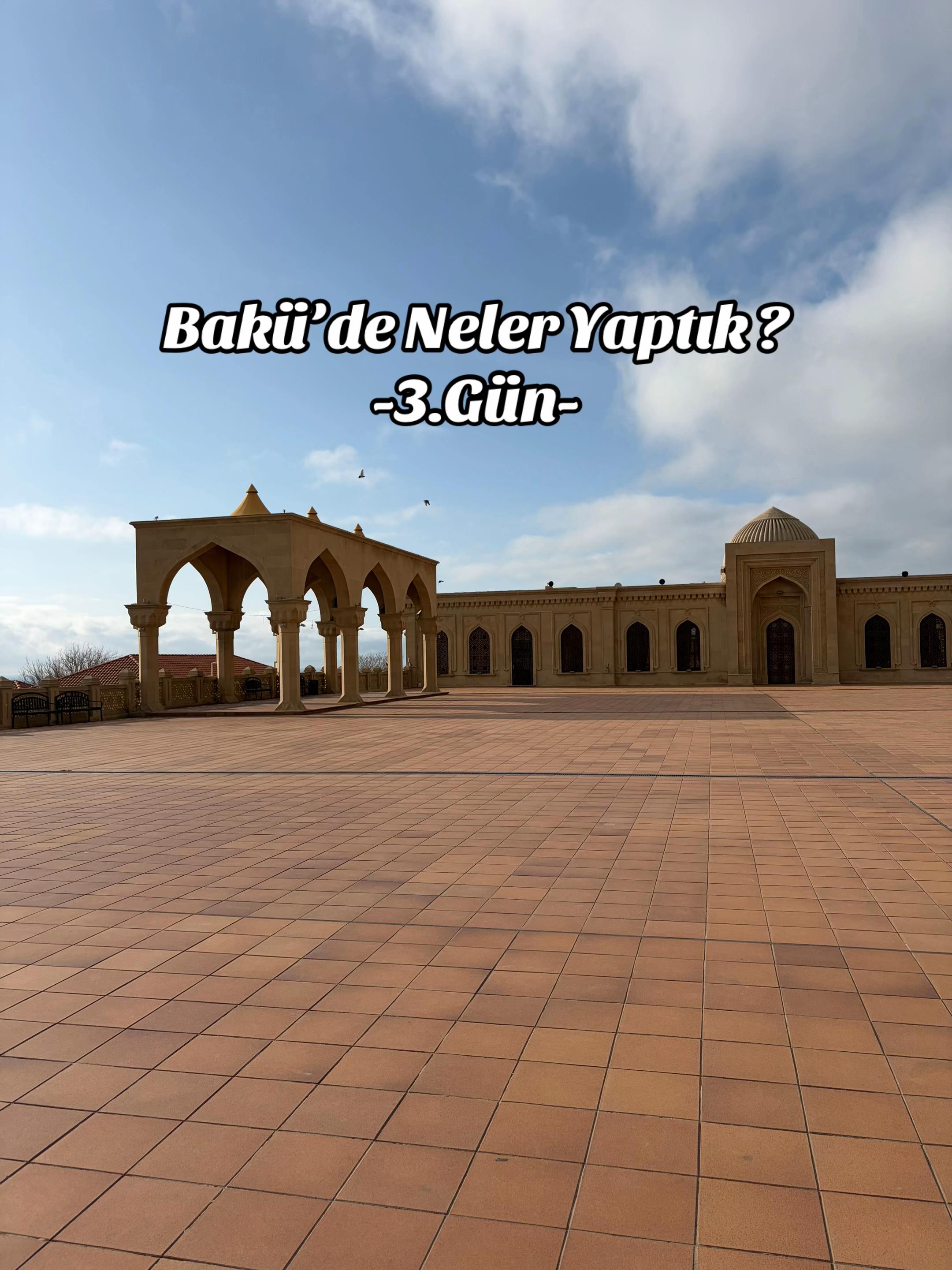 @İstanbul Kedisi