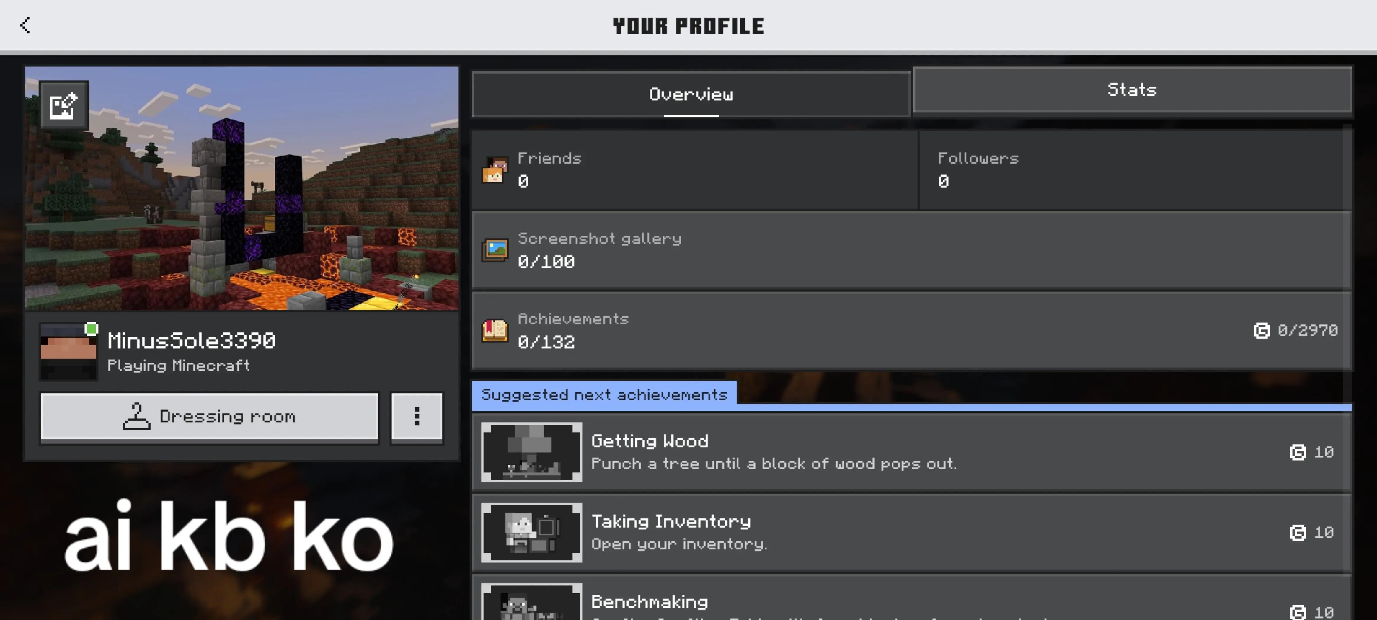 @bin999hahi_acc4 (minecraft)