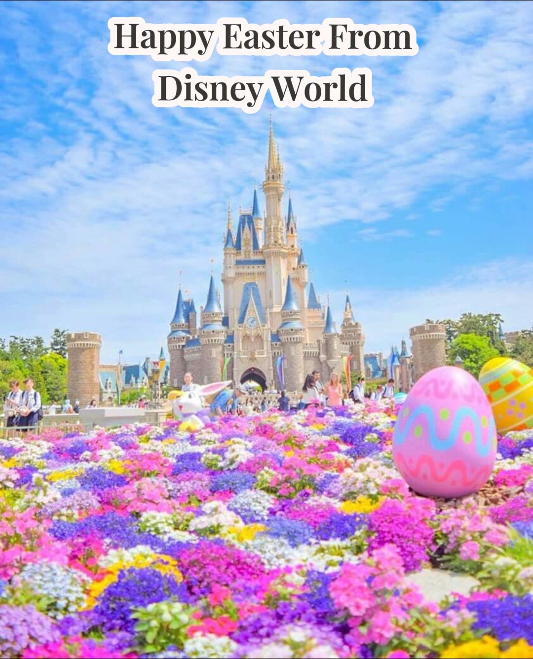 @Disney Trip&Tips With Tiny