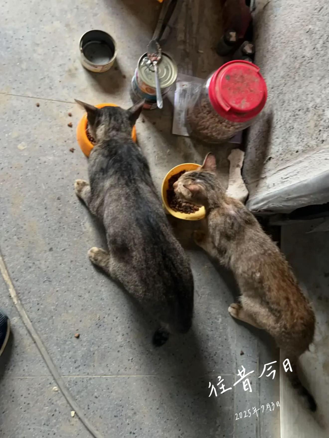 @噗噗