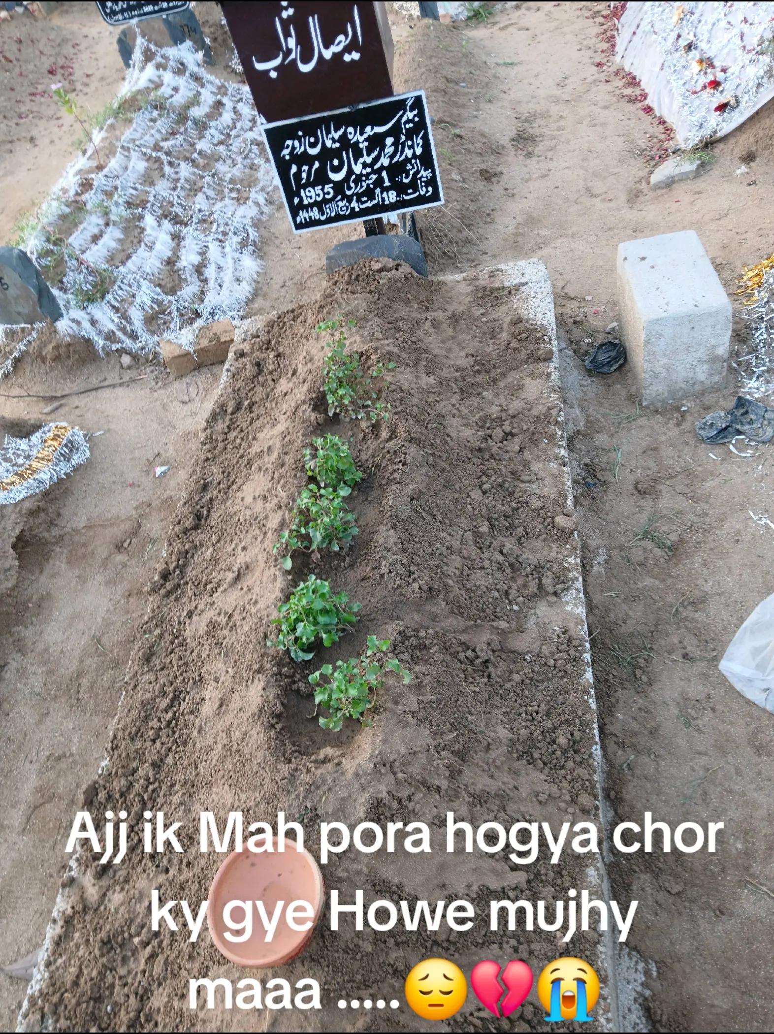 @Saad Sulman Qureshi