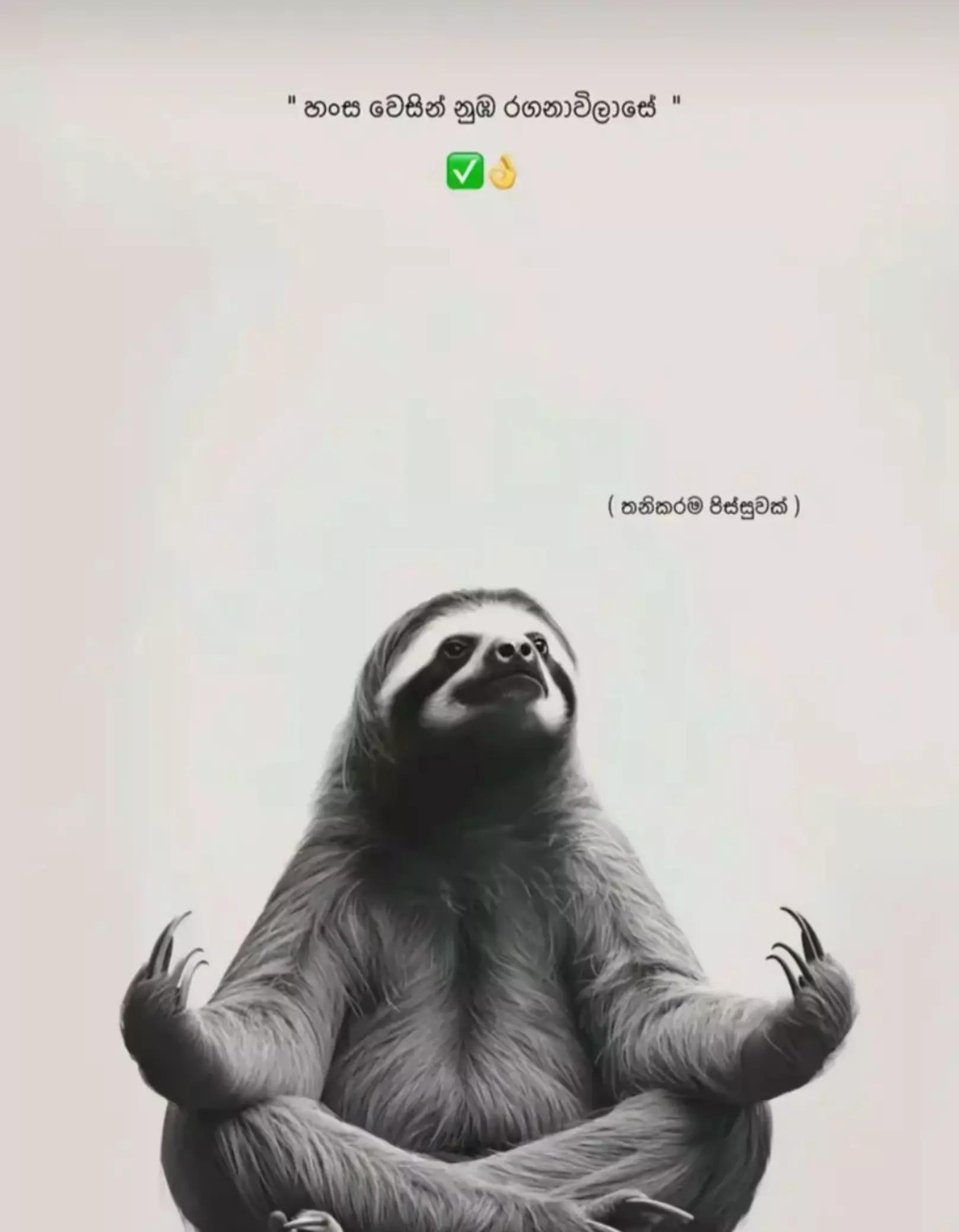 @𝐃 𝐞 𝐒 𝐡 𝐔  🤍✨