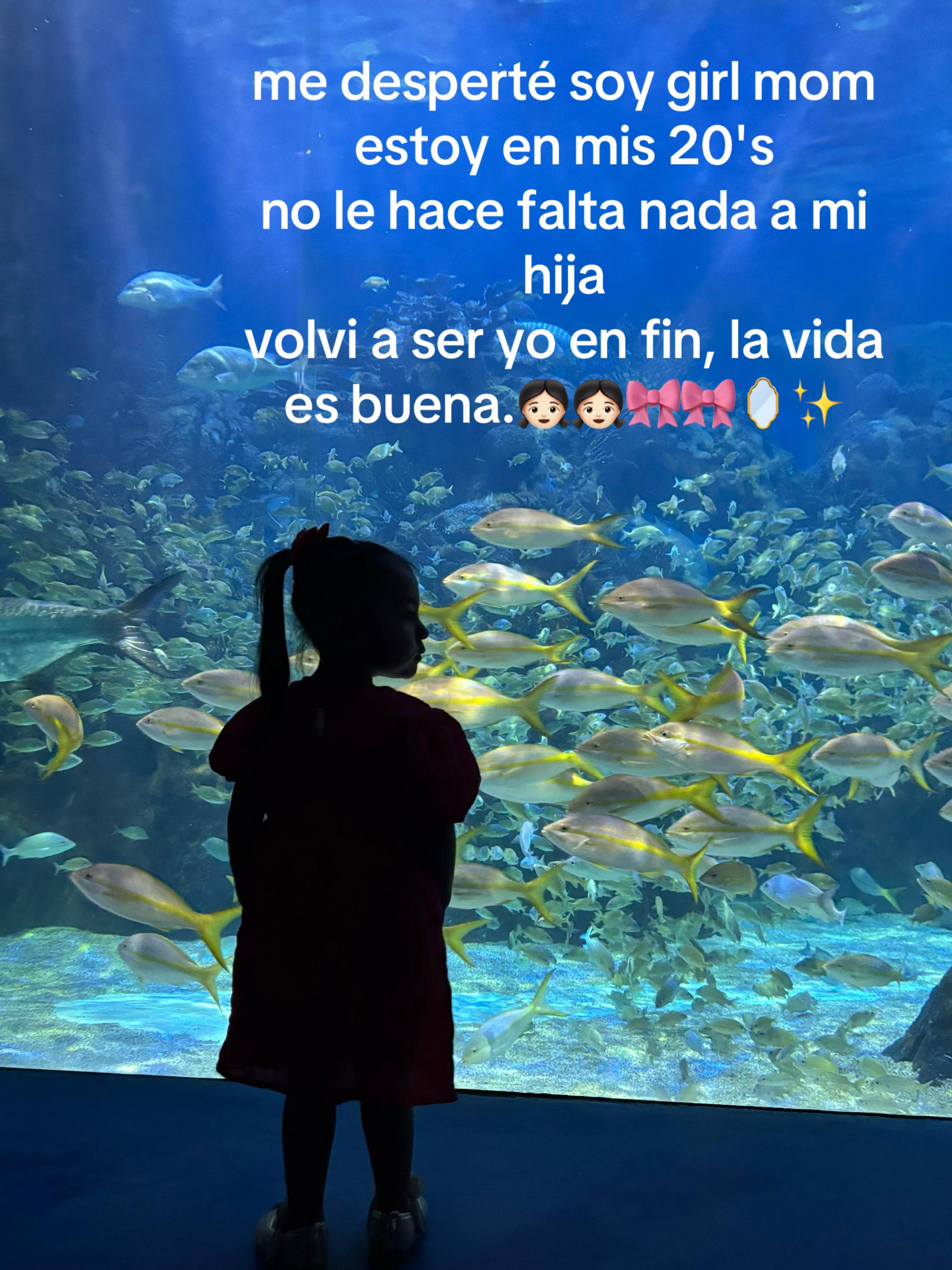 @Adamariv🧚🏼&zwj;♀️🧚🏼&zwj;♀️