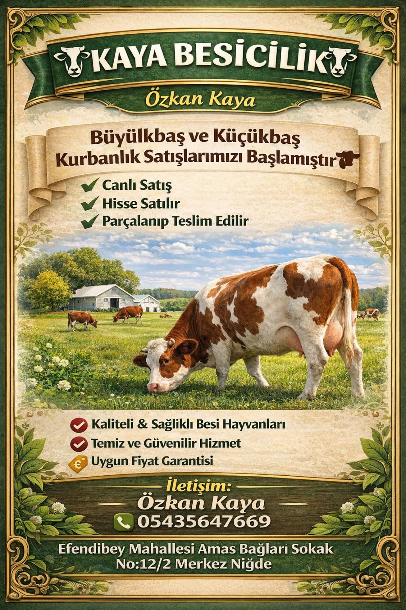 @&Ouml;zkan Kaya