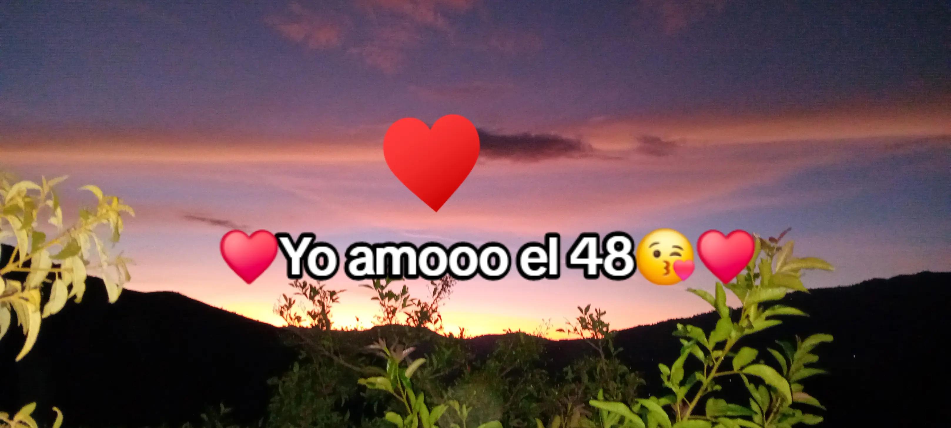 @Elida 🌷