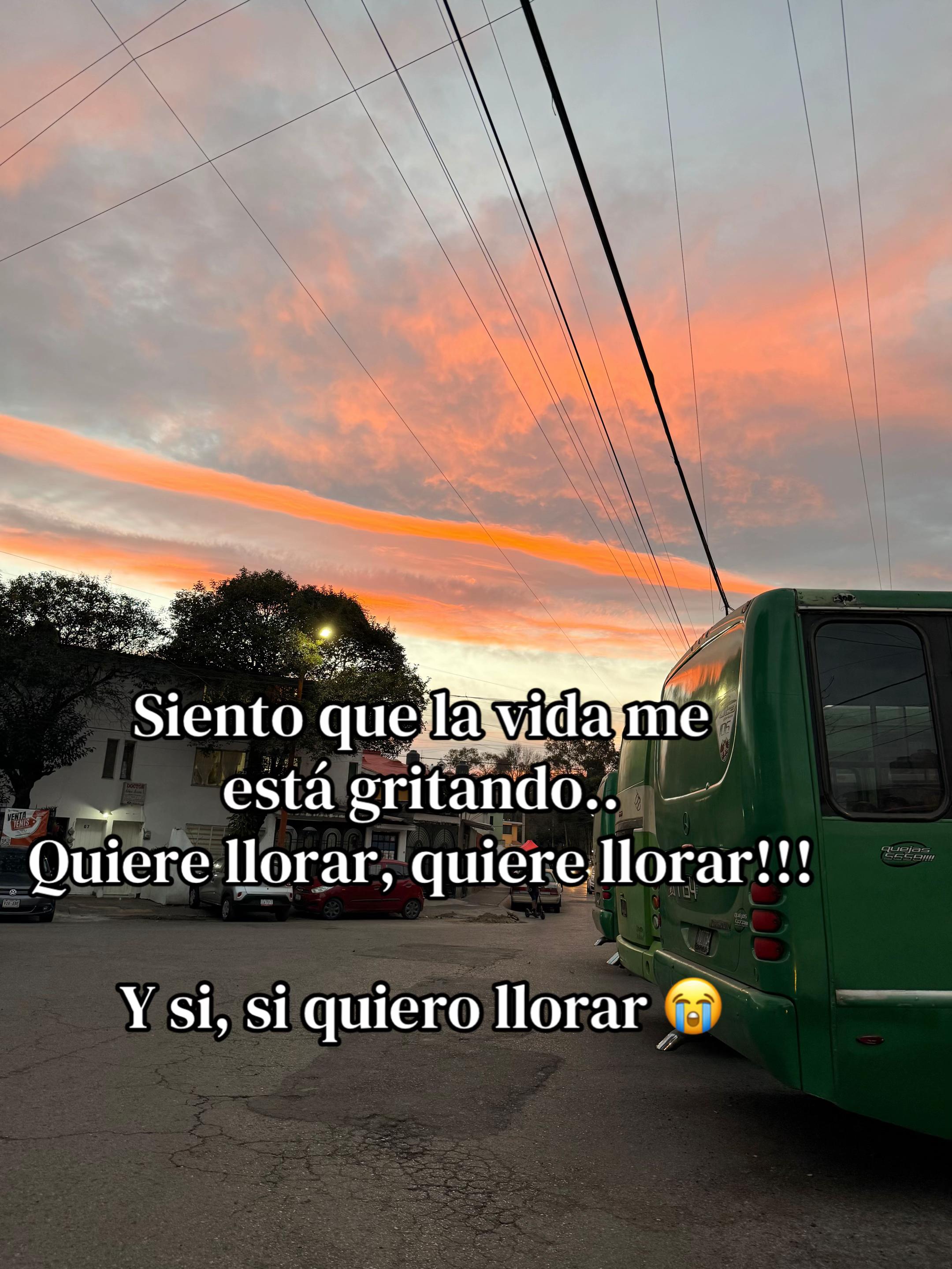 @🏳️&zwj;🌈 Violet 🏳️&zwj;🌈