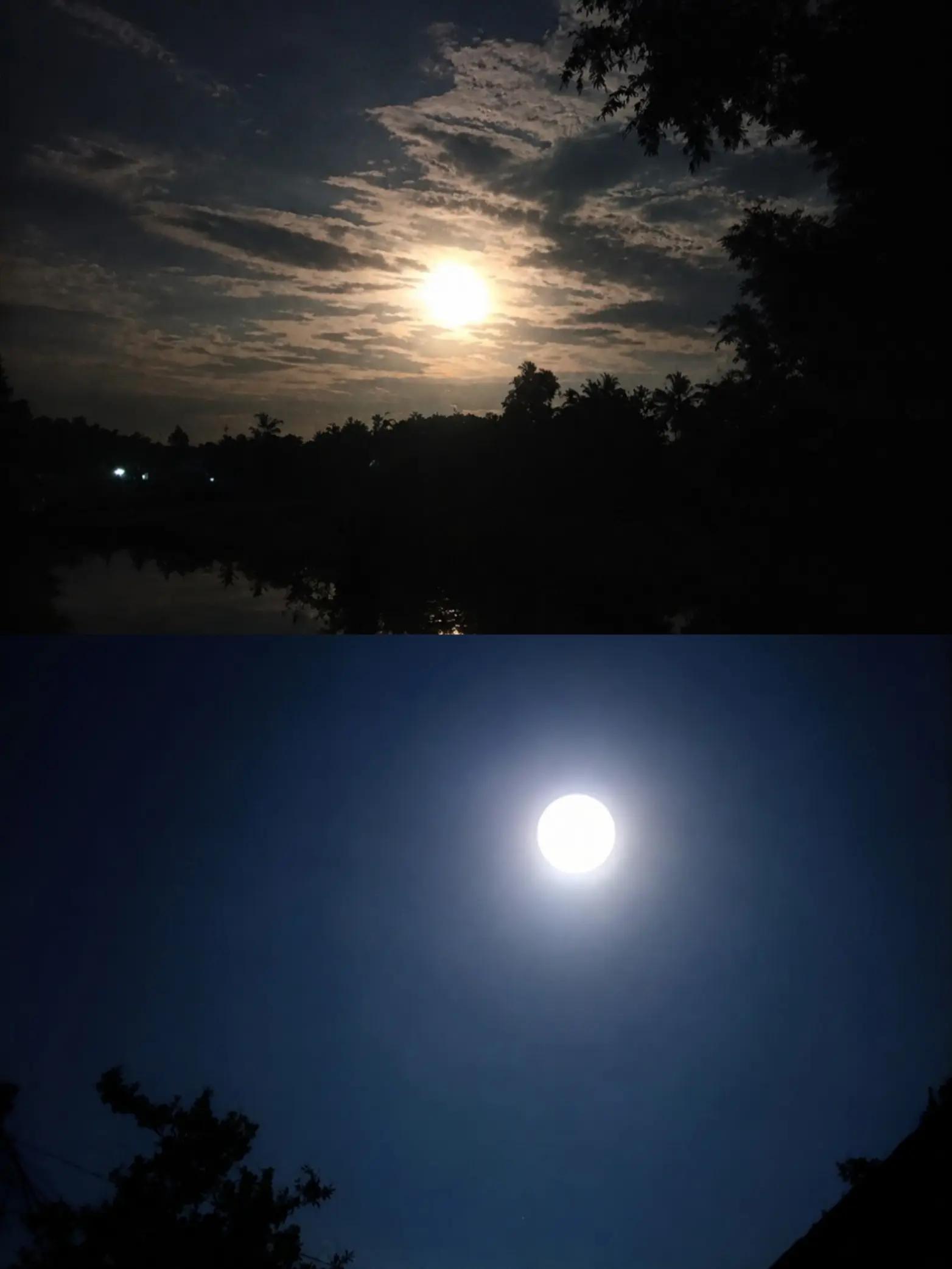 @💫 𝕾𝖗𝖊𝖊𝖏𝖔𝖓 𝕯𝖊𝖞 💫