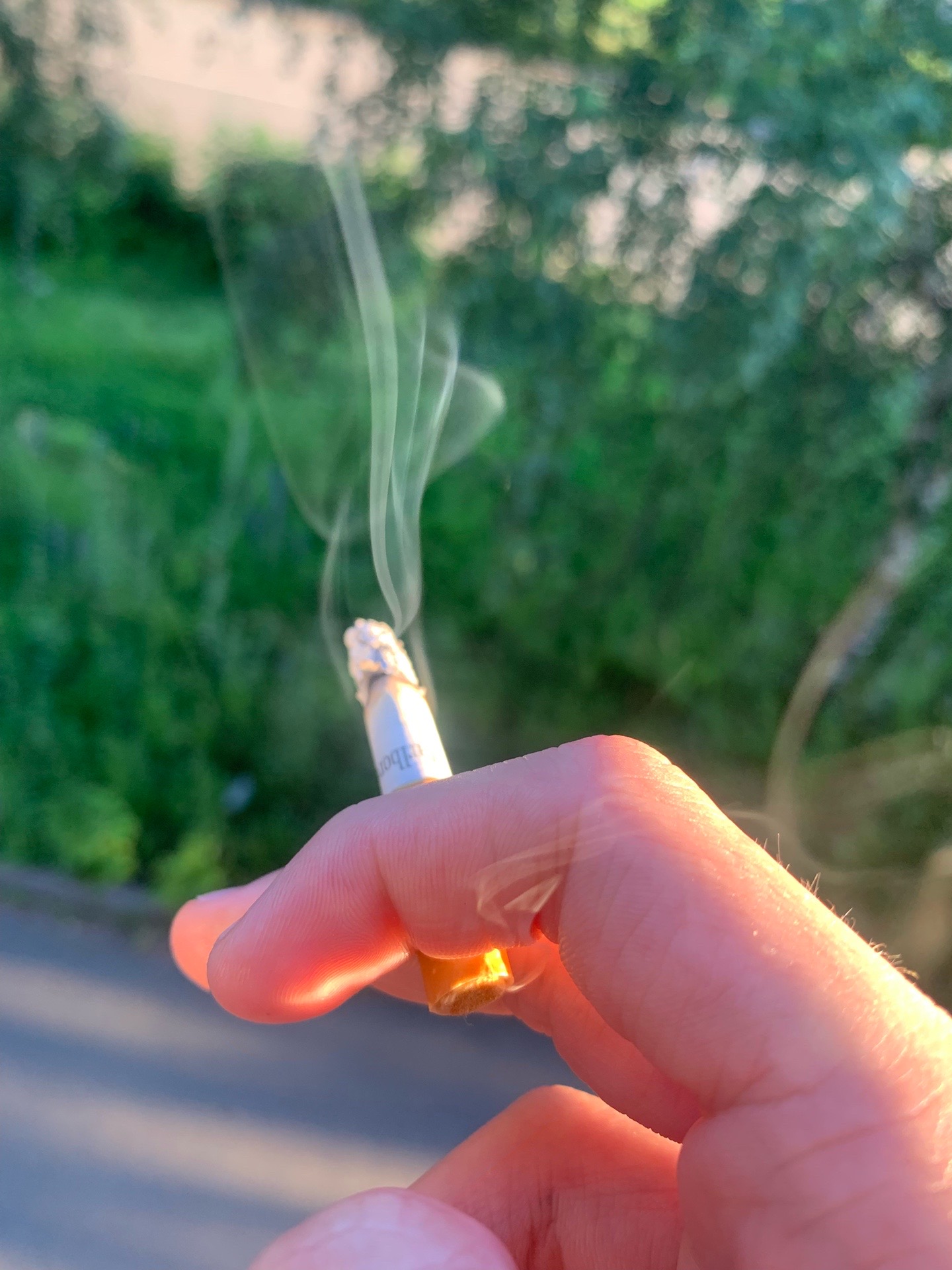 @konaю_aJlma3bl