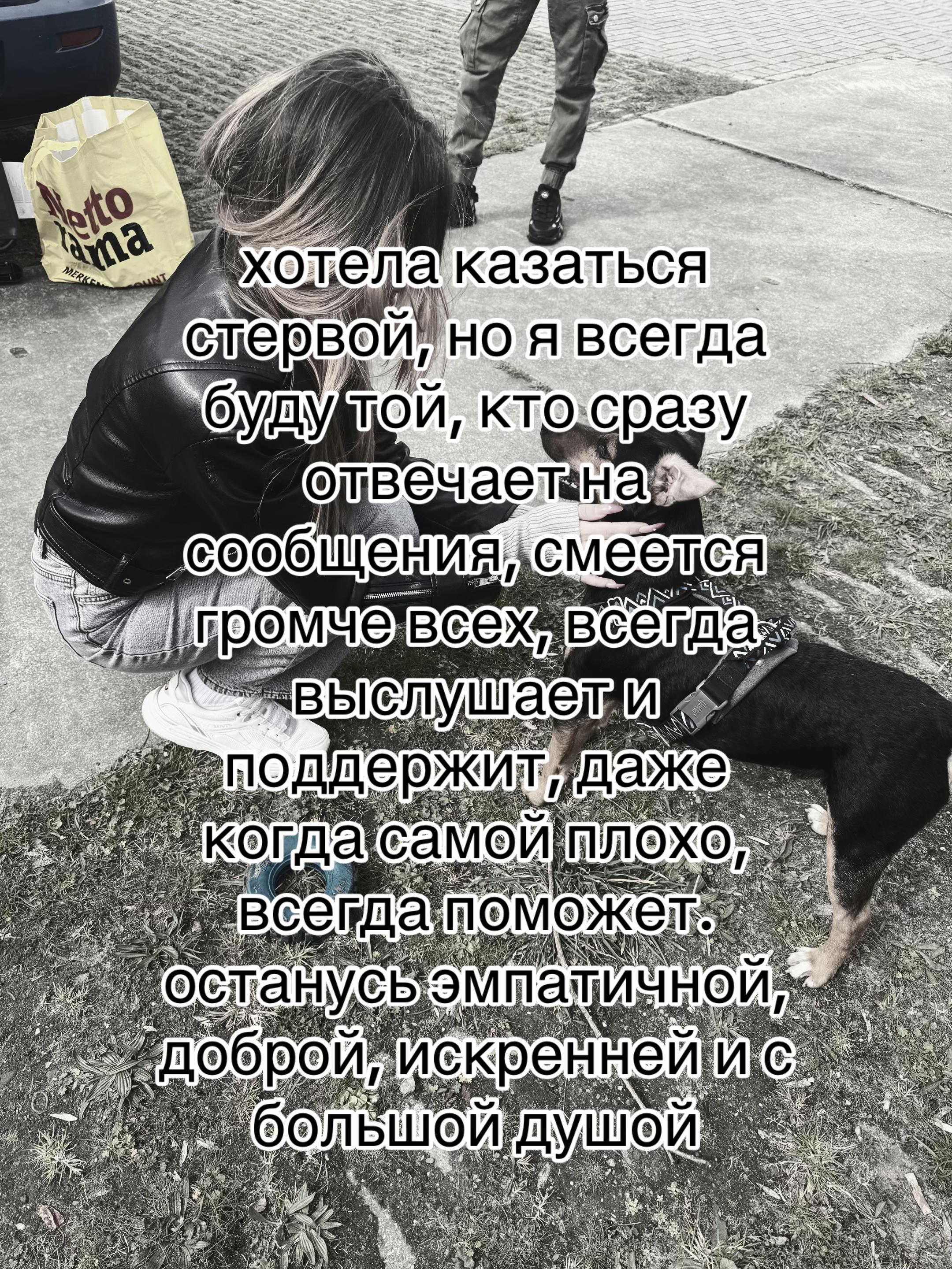 @♡ 𝕞𝕚𝕟𝕚 ♡