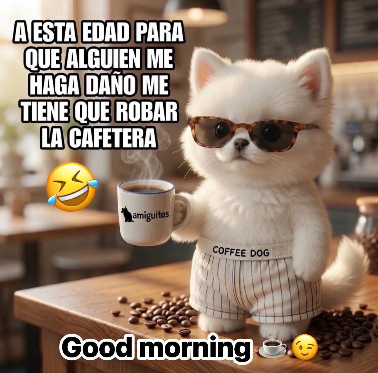 @anatorres0699