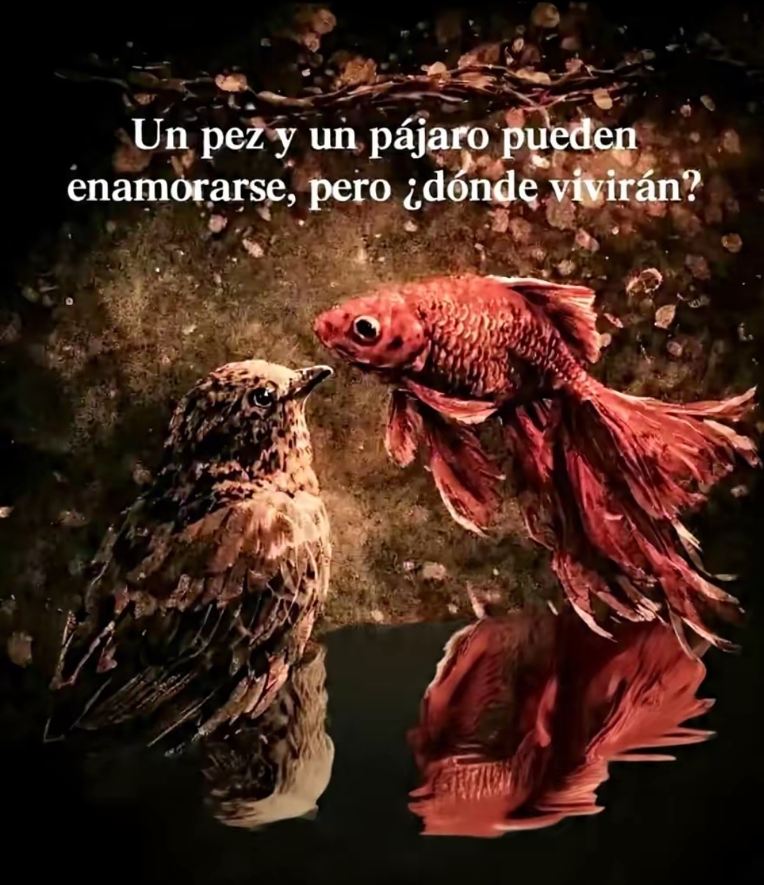 @Karlyta de Gonsalez