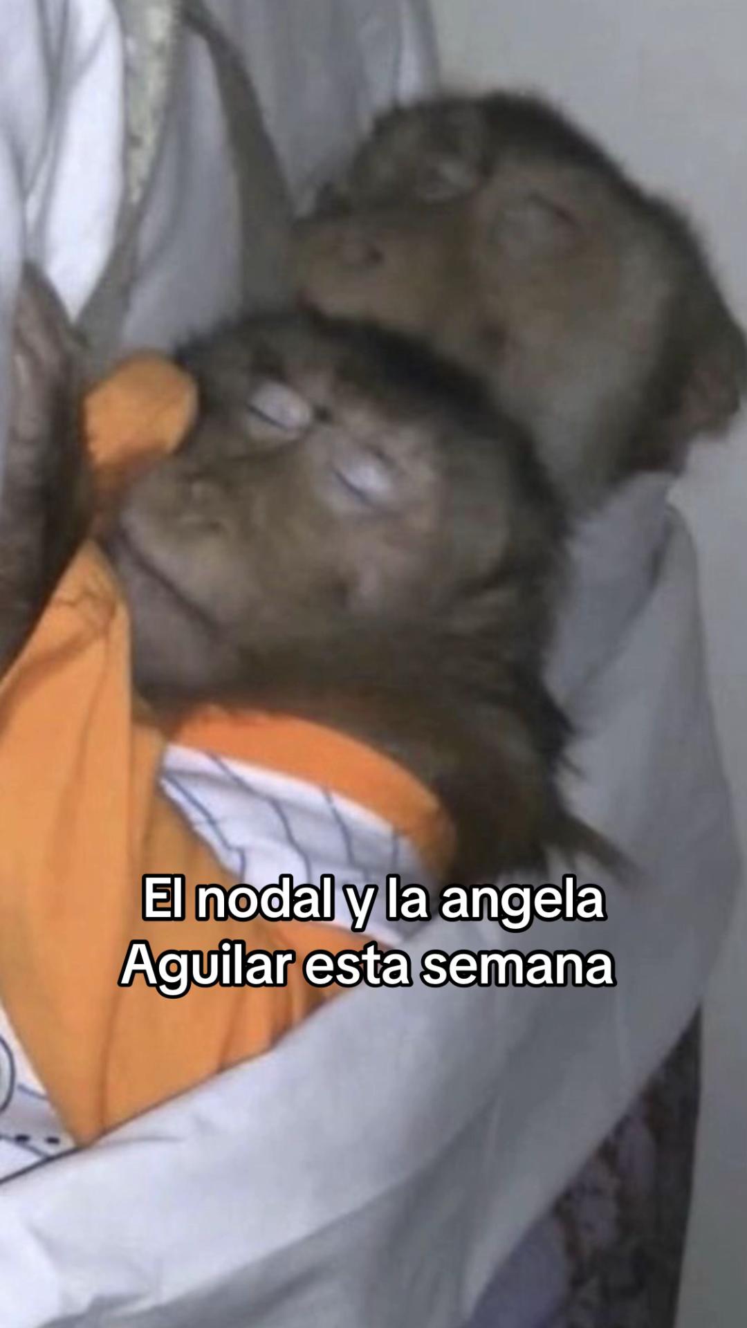 @Desconocida
