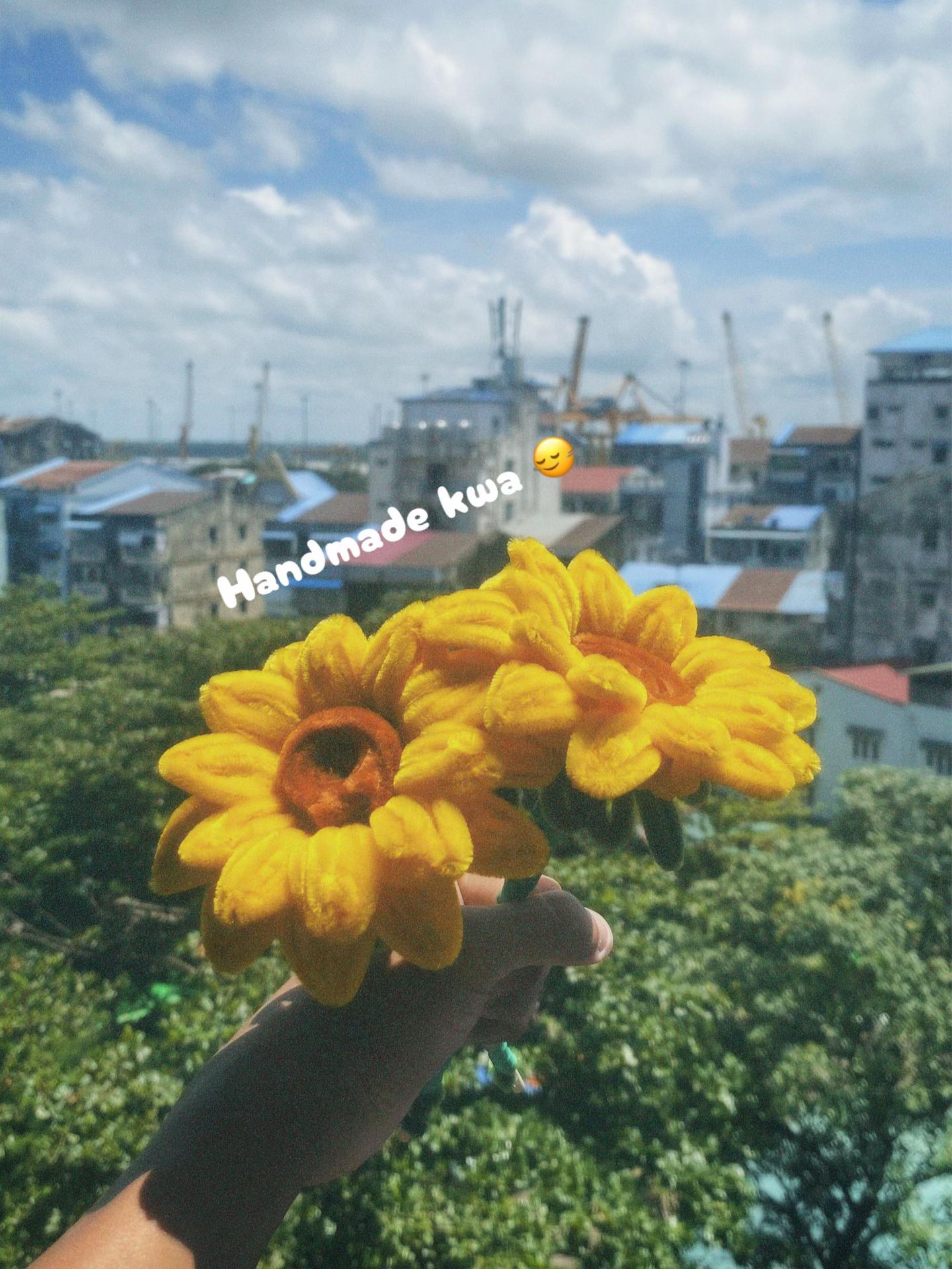 @Dexxy 🌻