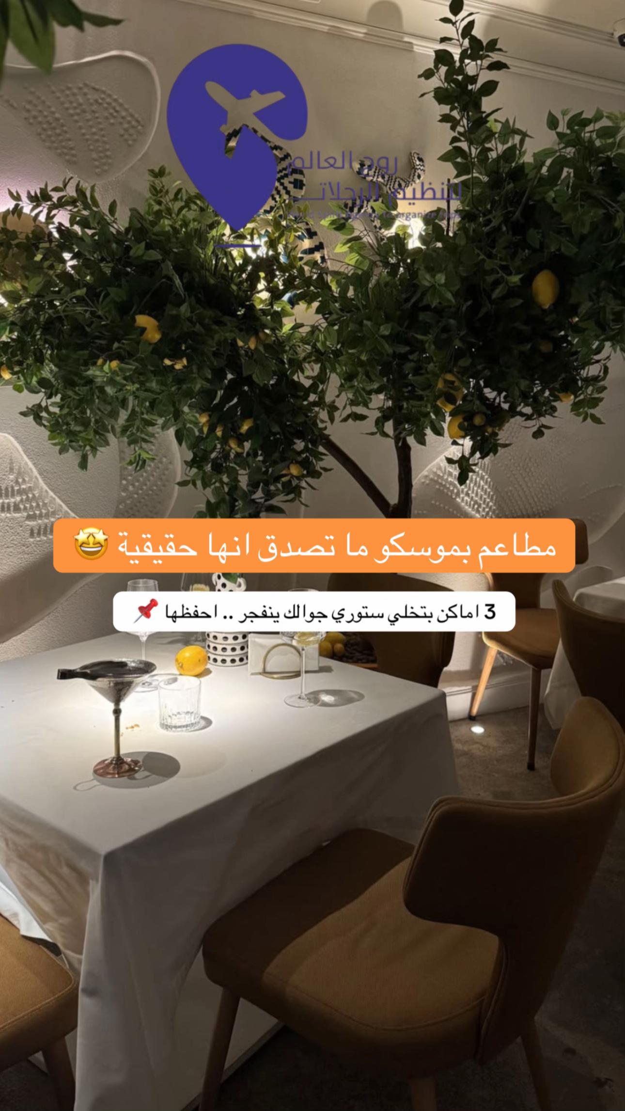 @روح العالم 🇸🇦🇷🇺