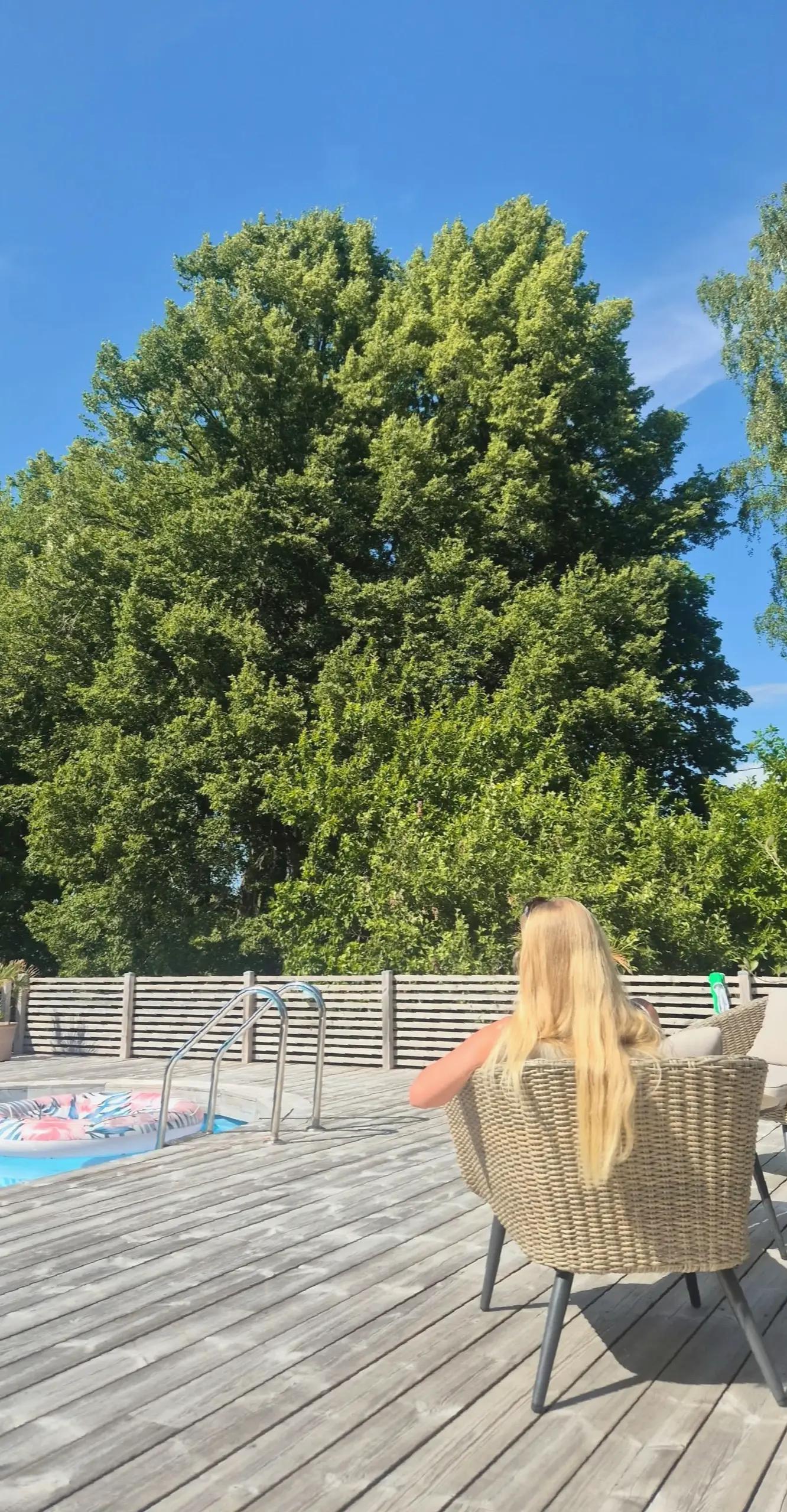 @elsa