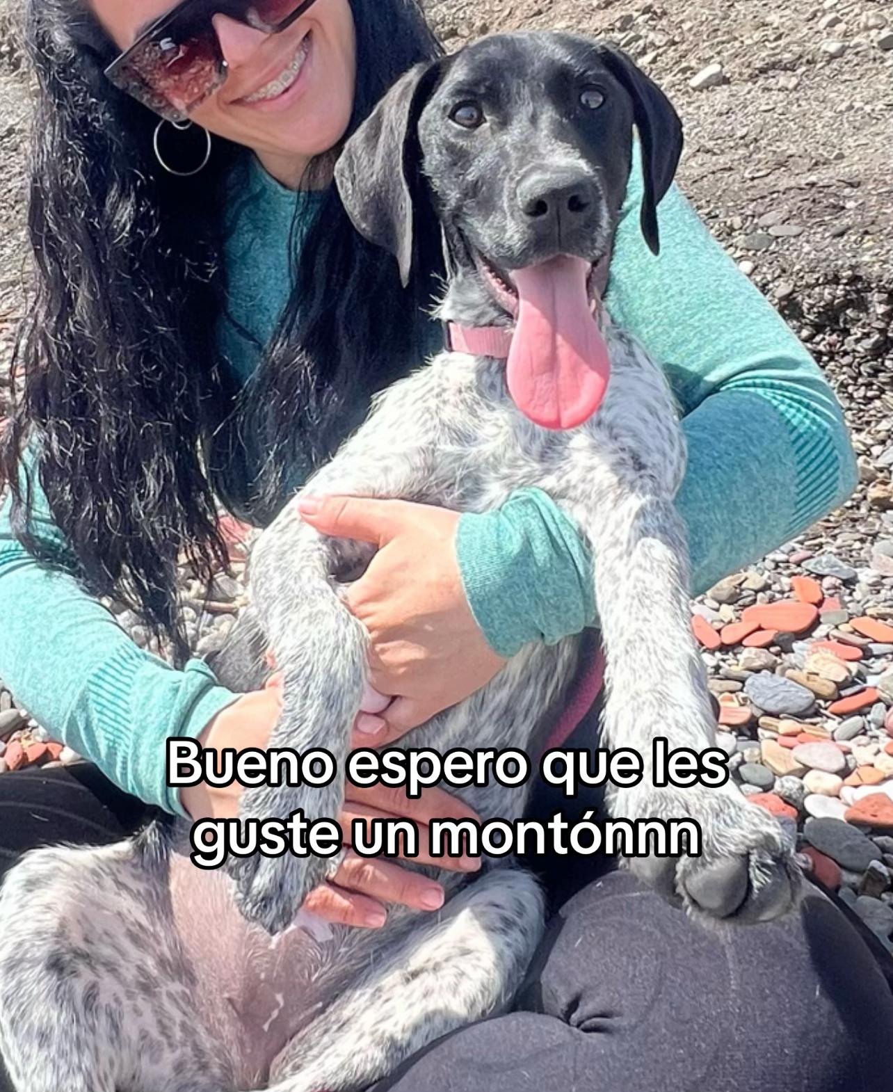 @daviniasantana
