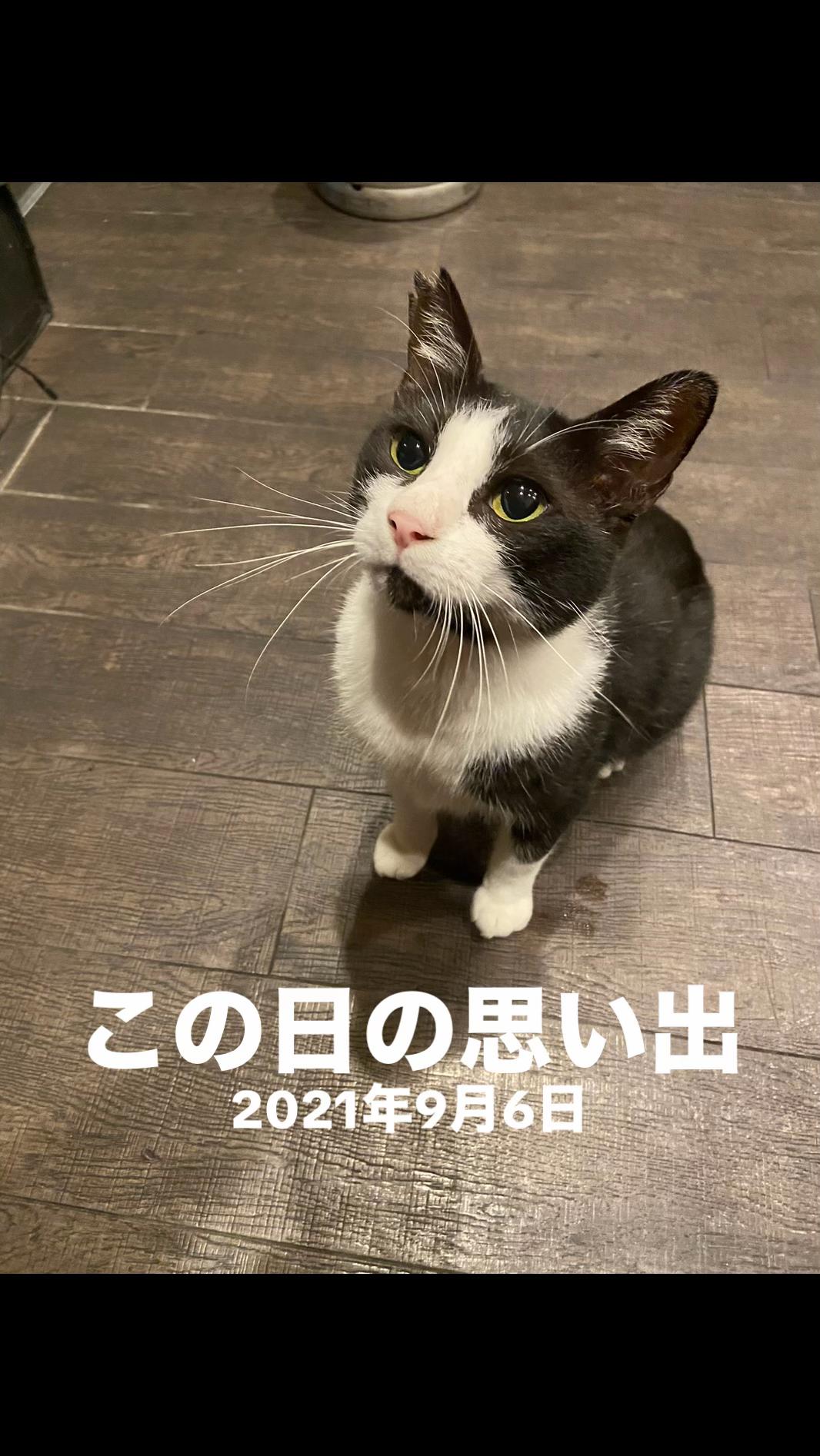 @山田ジャック