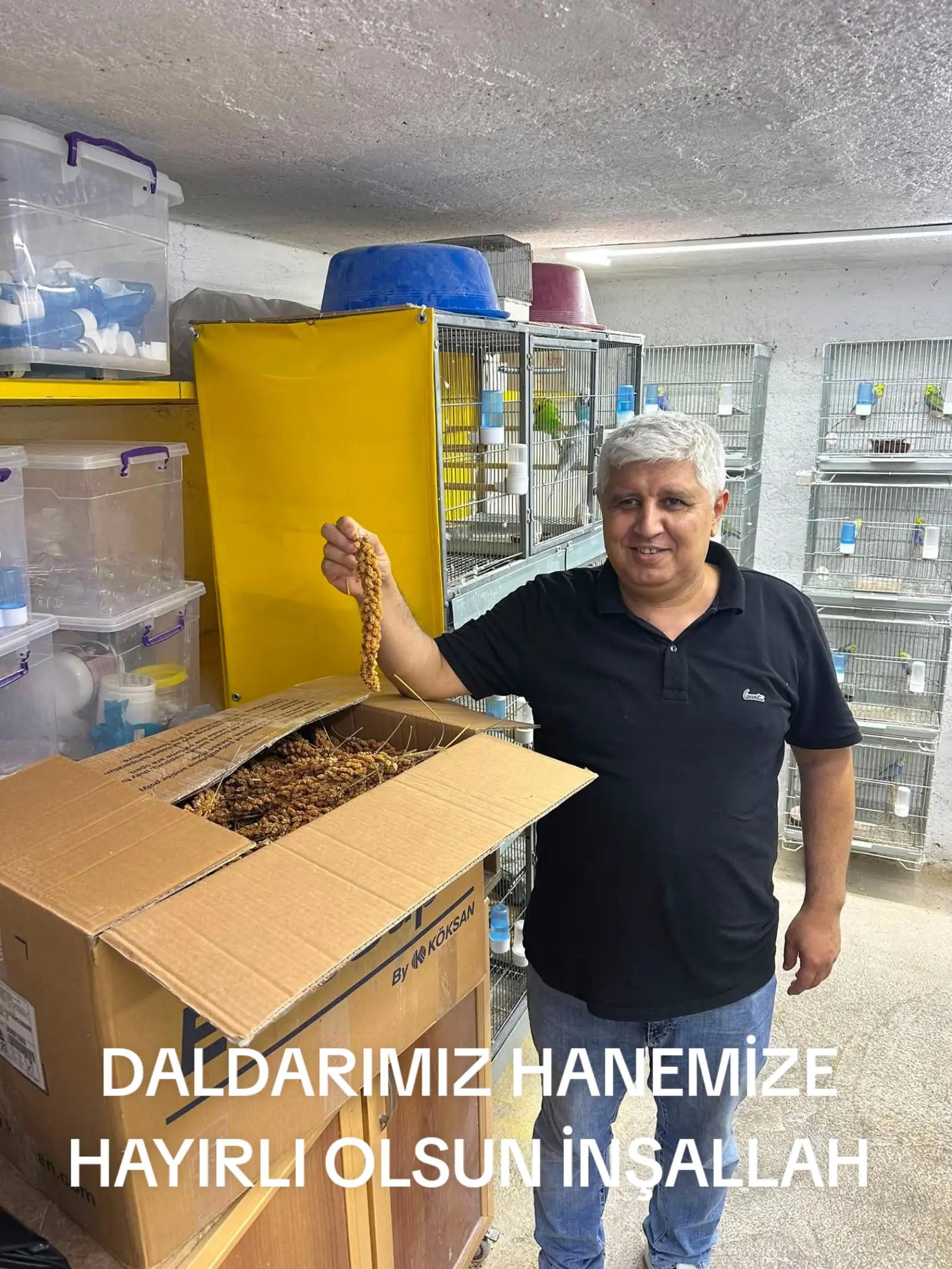 @MURAT ADIGÜZEL
