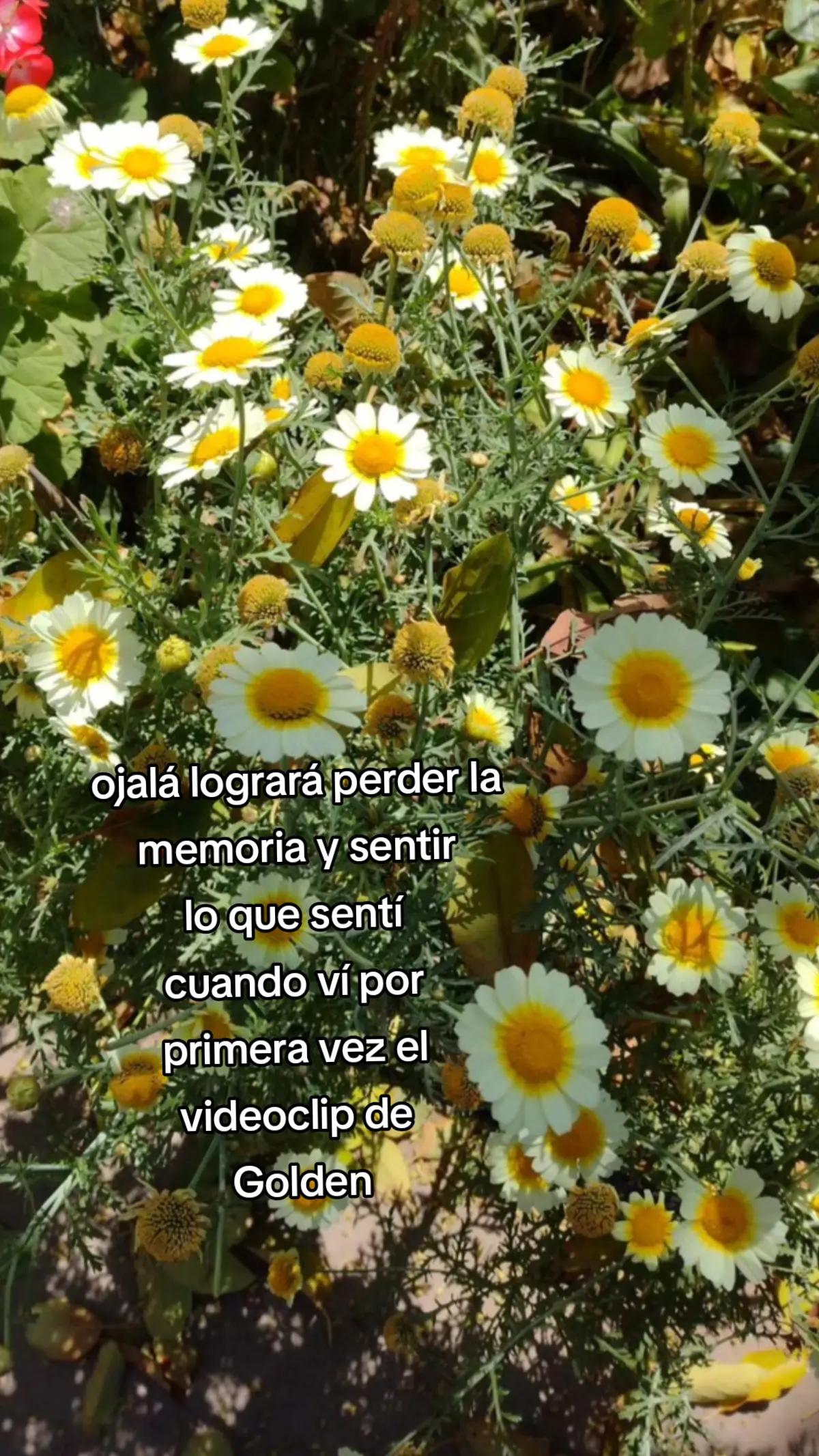 @Romi 💗